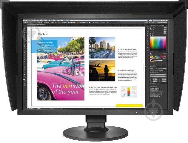 Монитор Eizo ColorEdge 24,1" (CG2420-BK) - фото 1