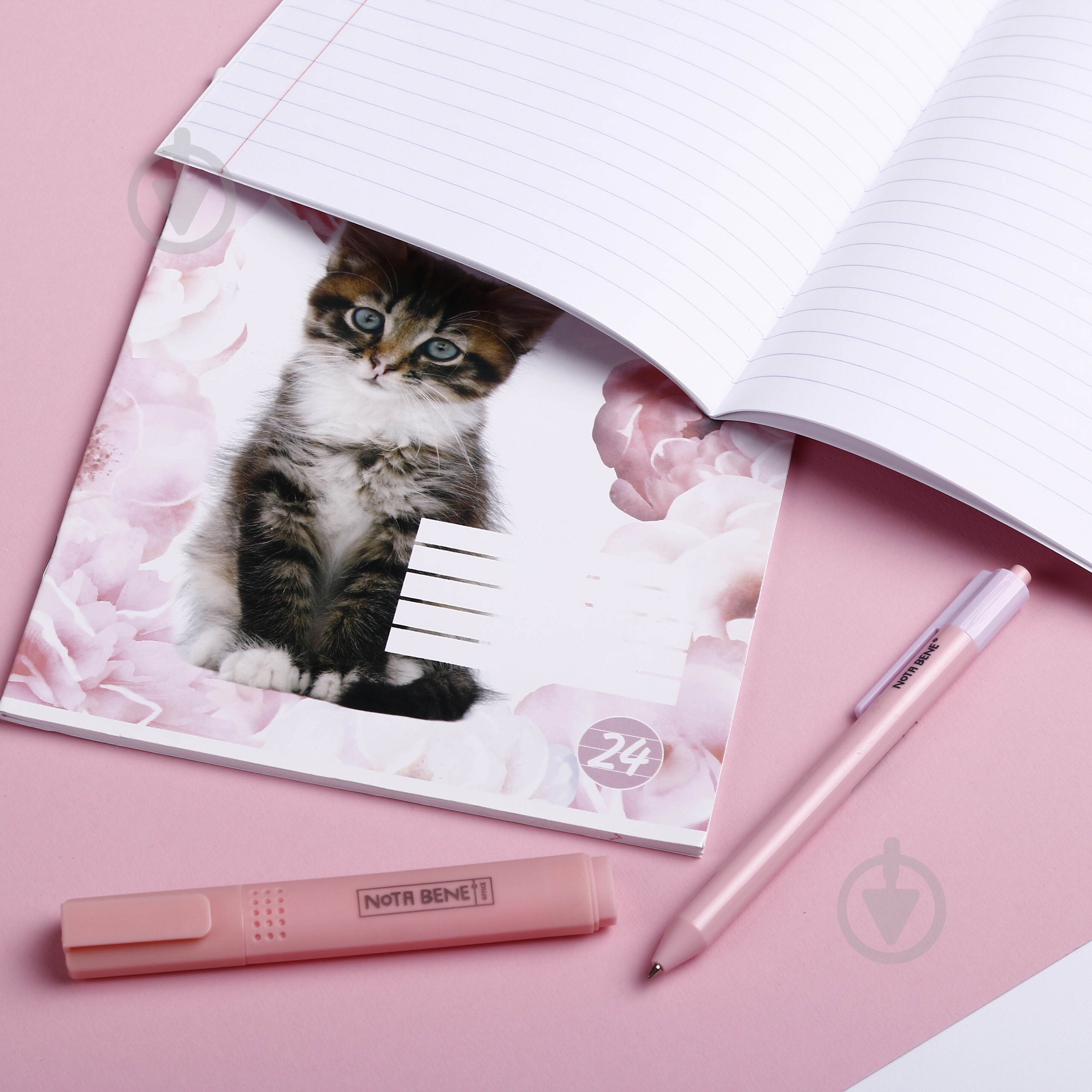 Тетрадь школьная cat 24 листа в линию - фото 14