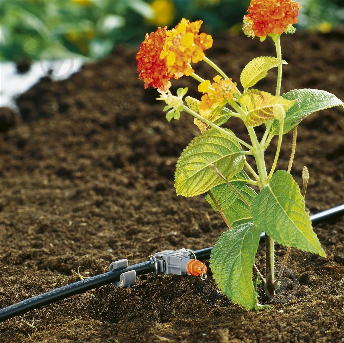 Набор для полива Gardena Micro-Drip-System 13001 13006-20 - фото 3 Набор для полива Gardena Micro-Drip-System 13001 13006-20 - фото 3