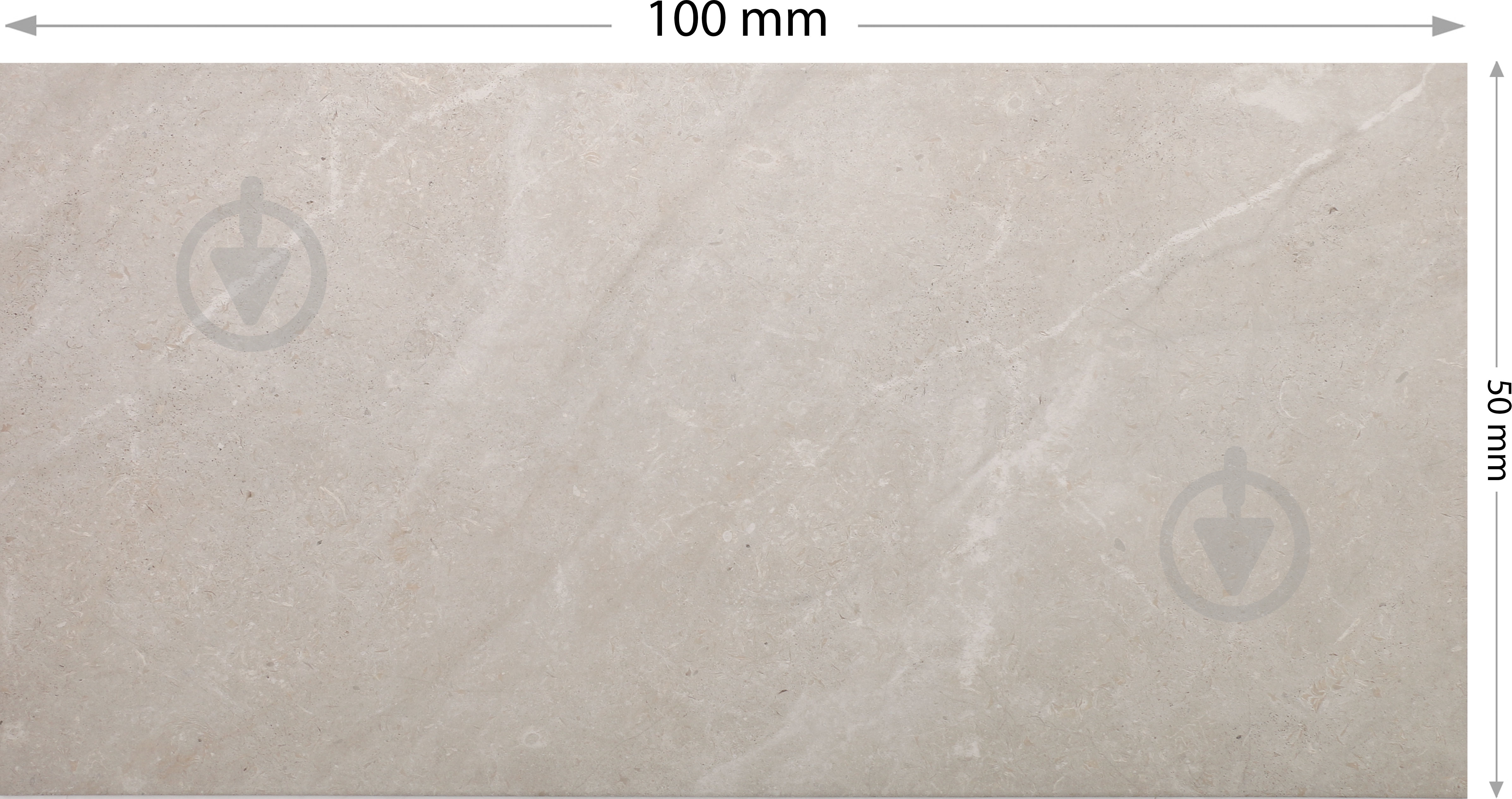 Плитка STN CERAMICA Елсен Перла 50x100 - фото 4