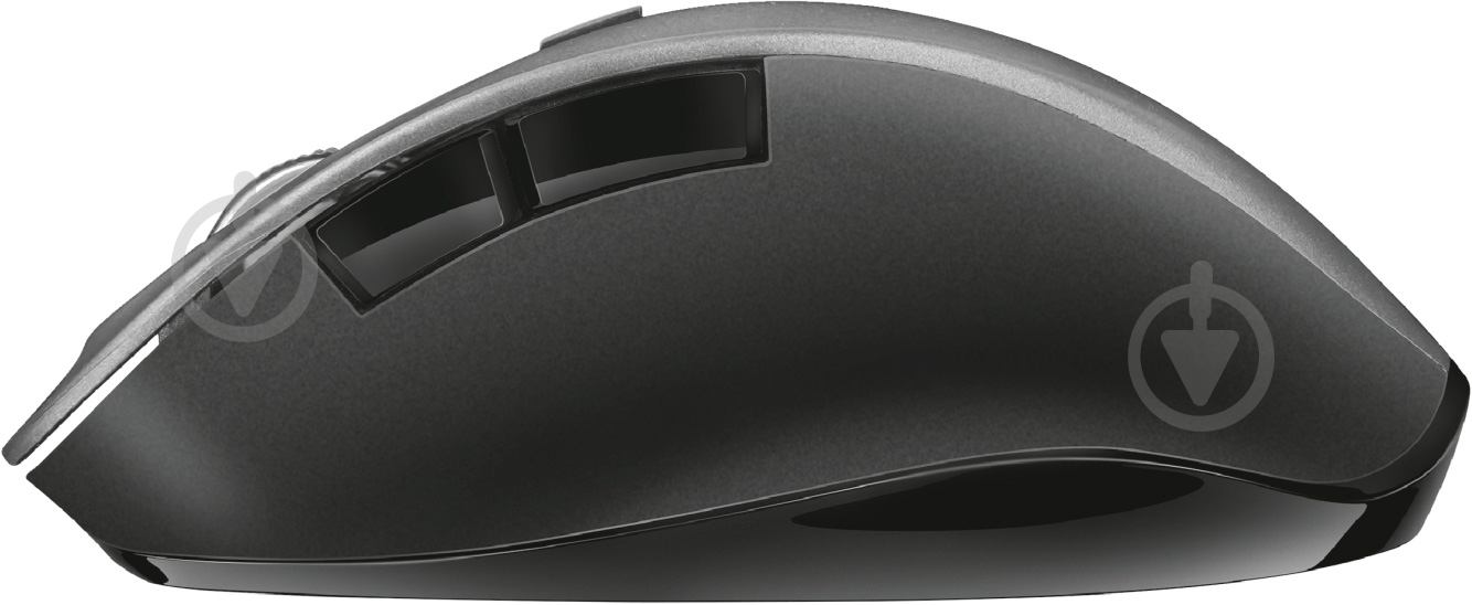 Мышь Trust Ravan Wireless 22878 (22878) - фото 3