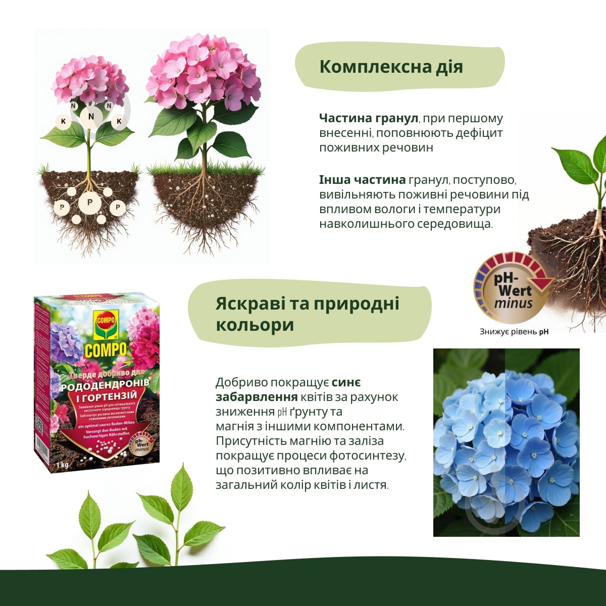 Удобрение Compo твердое для рододендронов и гортензий - фото 4