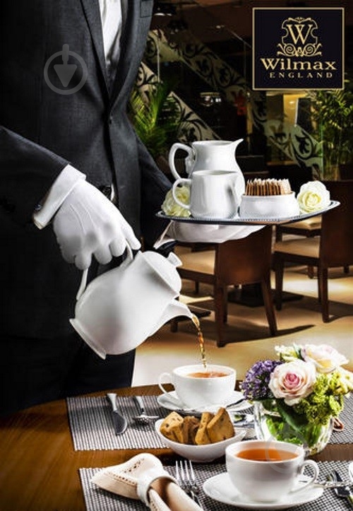 Чайник заварочный Wilmax 320 мл WL-994028 - фото 2 Чайник заварочный Wilmax 320 мл WL-994028 - фото 2