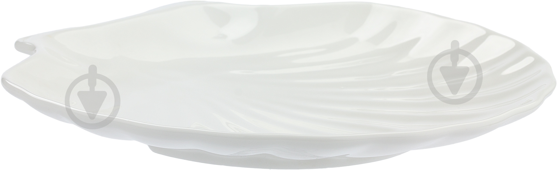 Блюдо Wilmax Мушля 20 см WL-992013 - фото 2 Блюдо Wilmax Мушля 20 см WL-992013 - фото 2