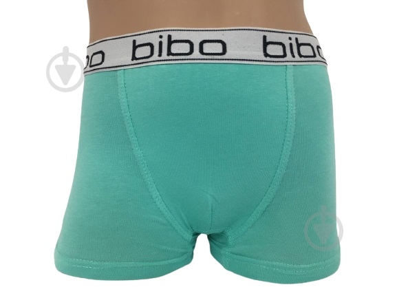 Трусы для мальчика Bibo р.92 зеленый 24051 - фото 1 Трусы для мальчика Bibo р.92 зеленый 24051 - фото 1