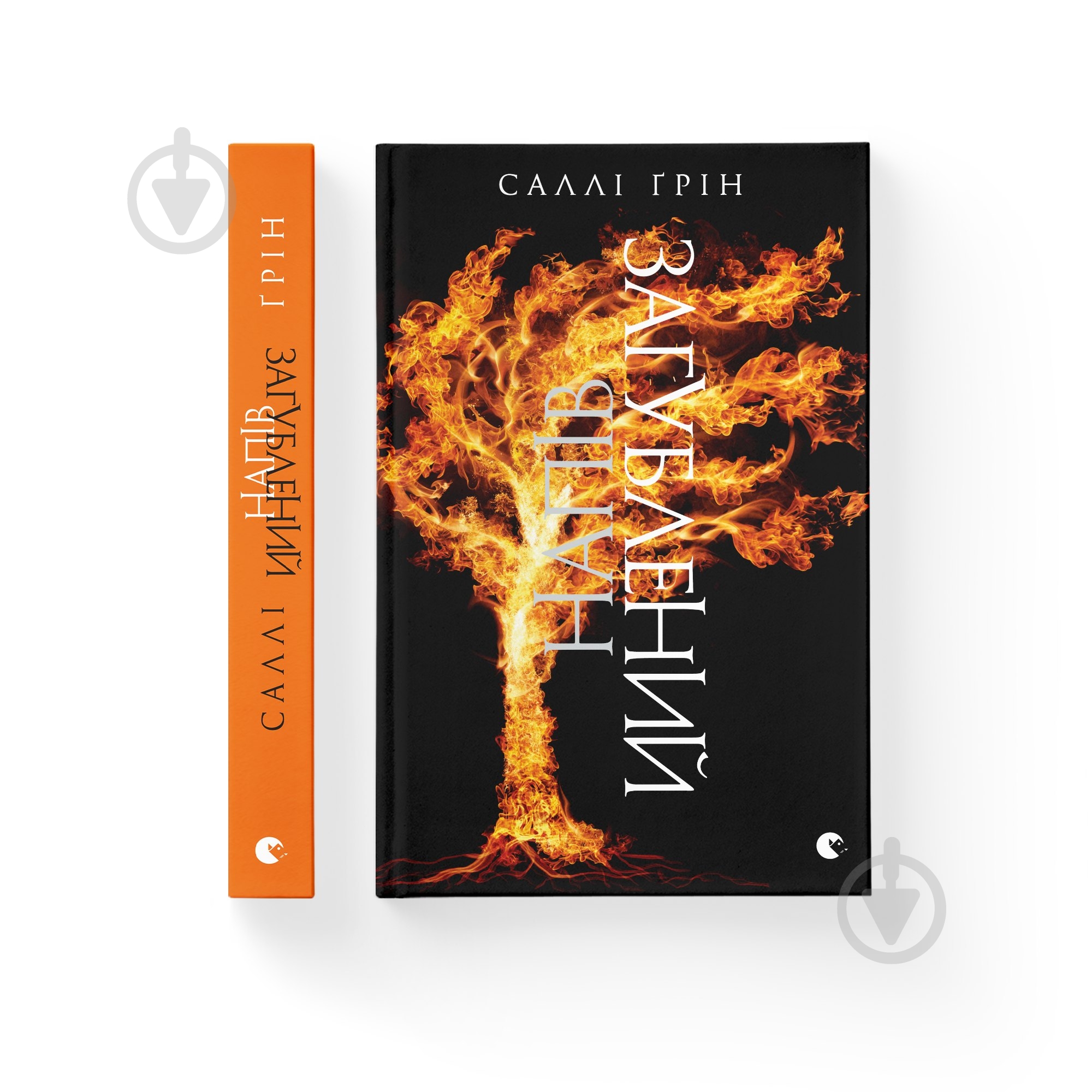 Книга Саллі Грін «Напівзагублений» 978-617-679-276-5 - фото 1