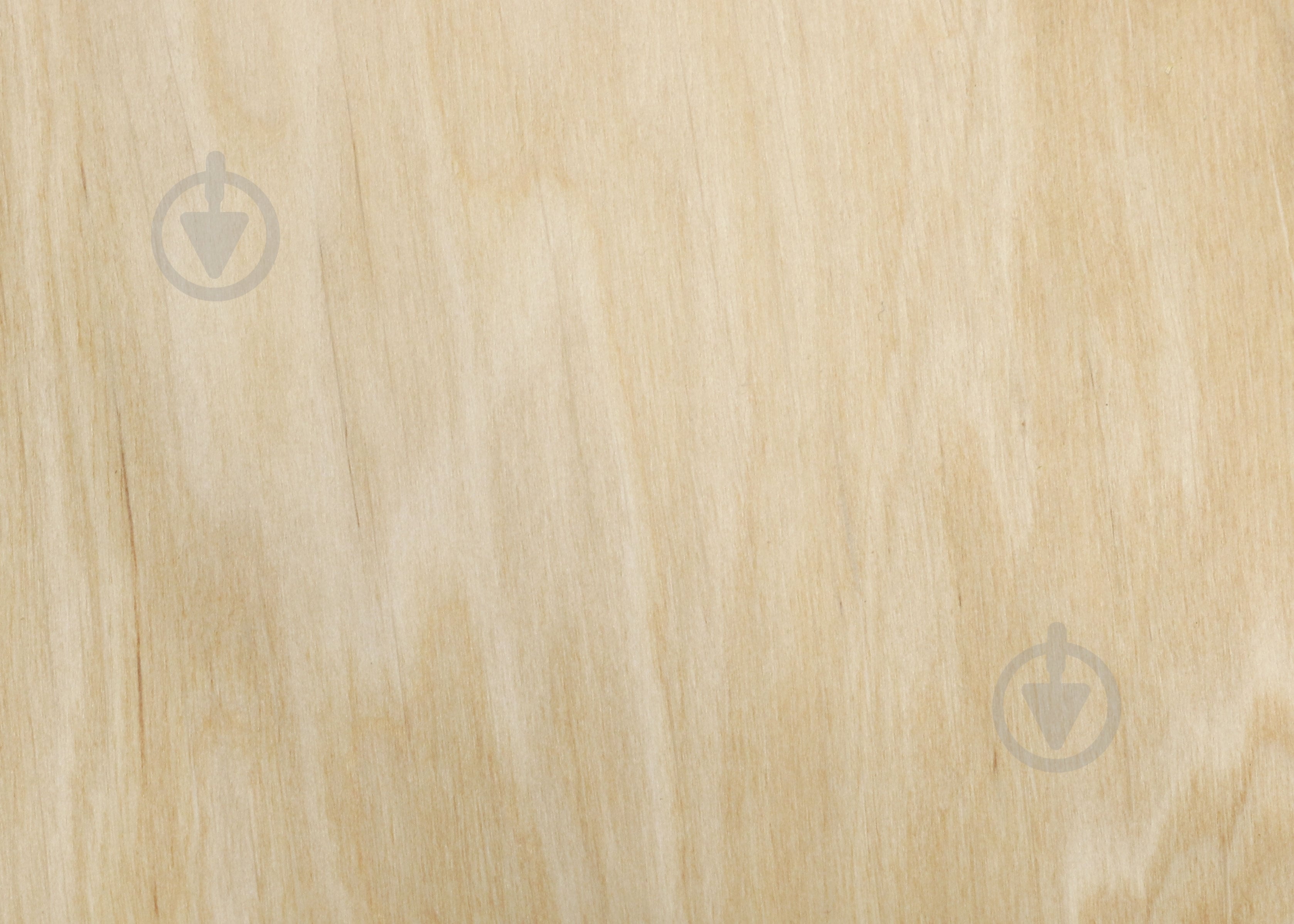 Фанера шліфована 1250x2500x21 мм, ґатунок 3/4 - фото 2