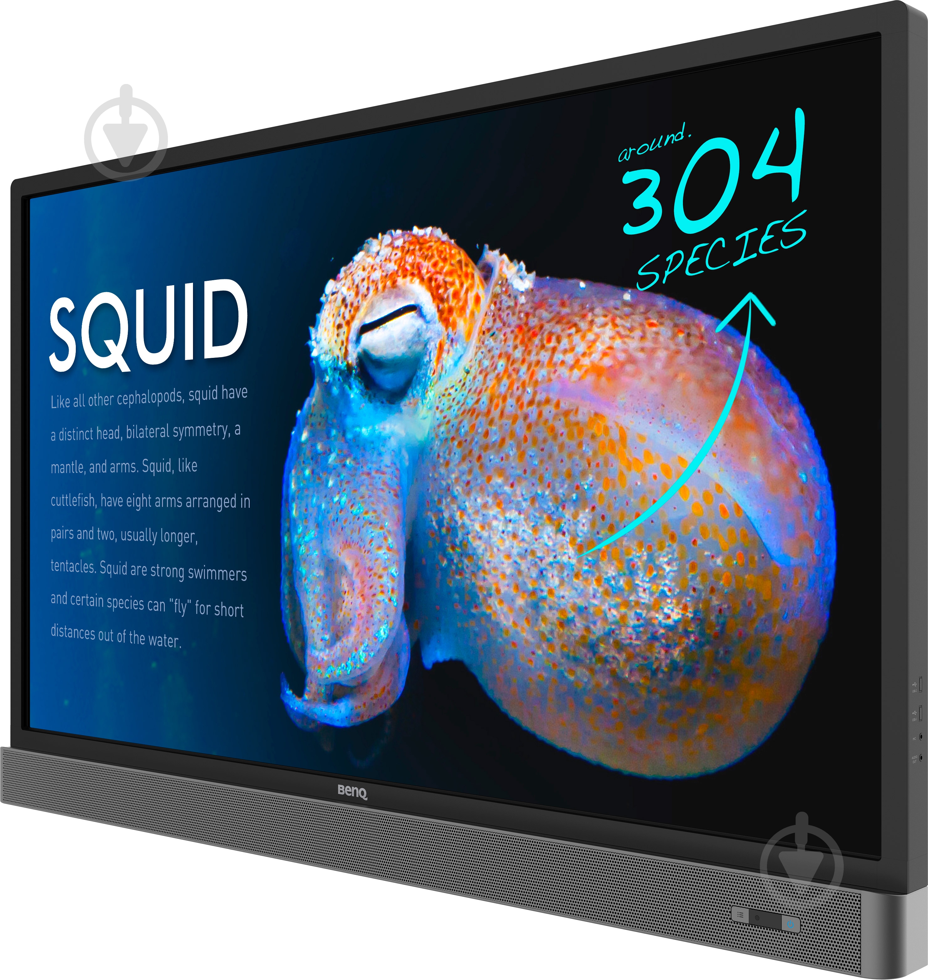 Монитор BenQ RP553K 55" (9H.F3TTK.RE1) - фото 3