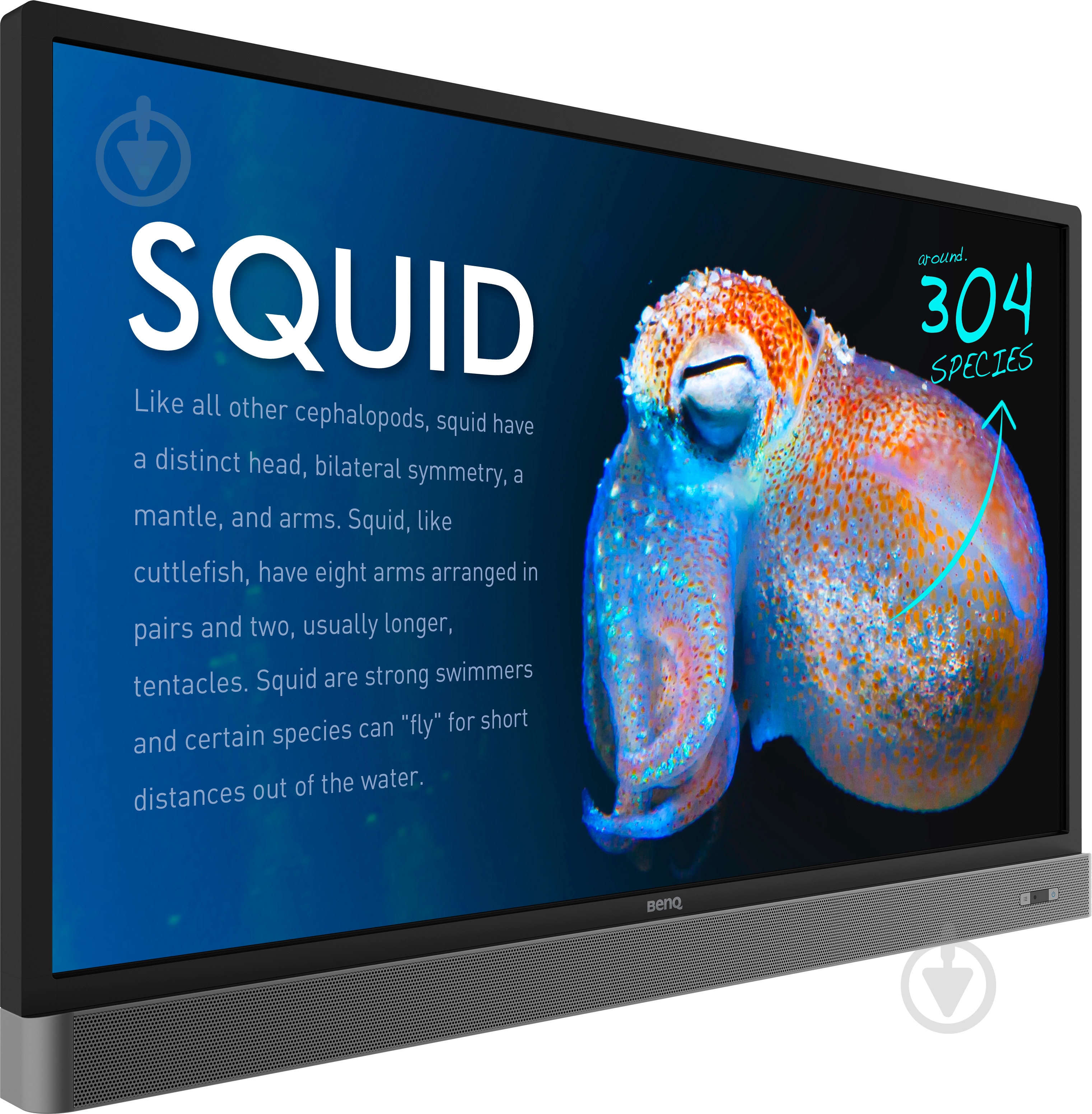 Монитор BenQ RP553K 55" (9H.F3TTK.RE1) - фото 2