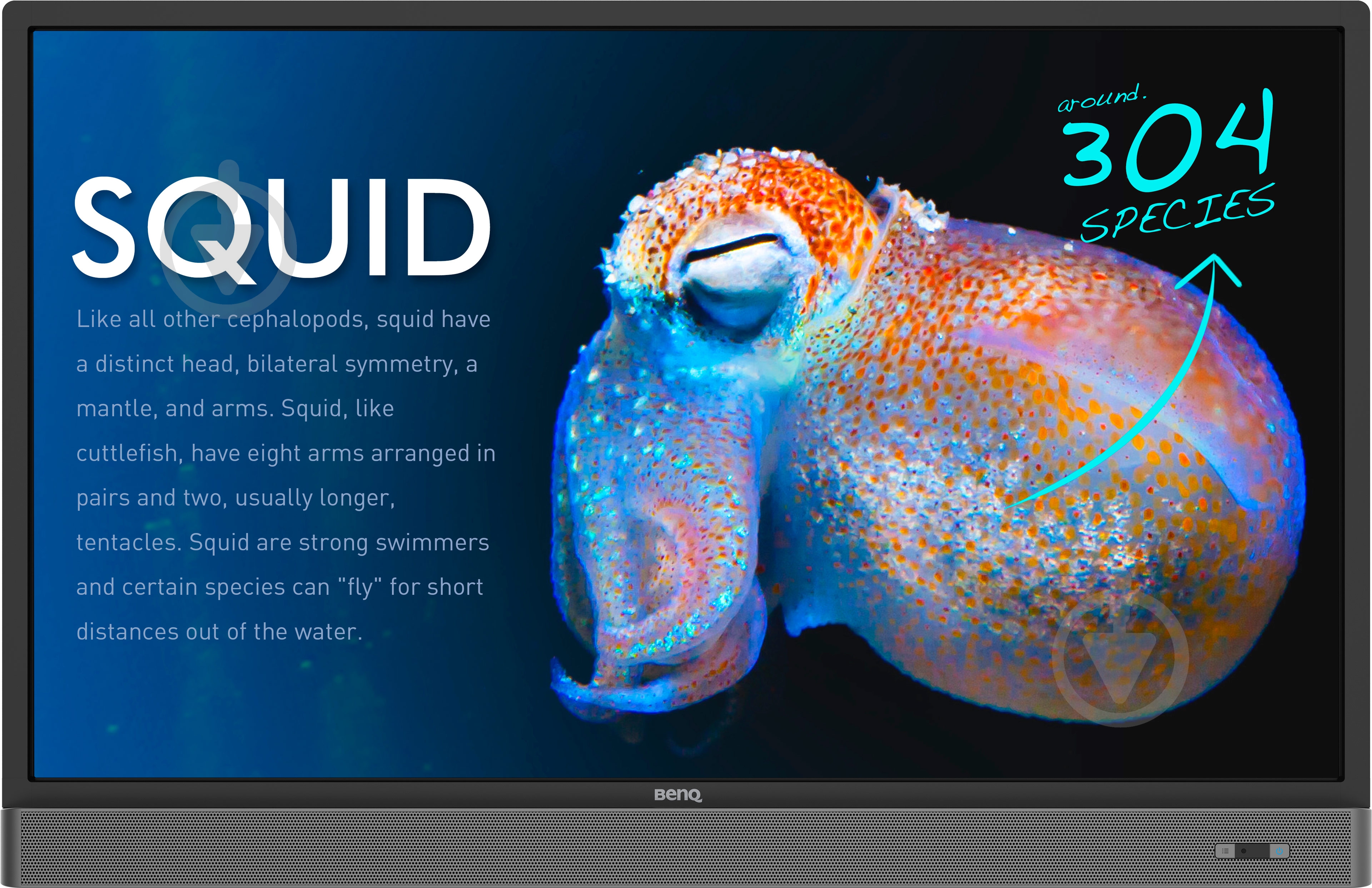 Монитор BenQ RP553K 55" (9H.F3TTK.RE1) - фото 1