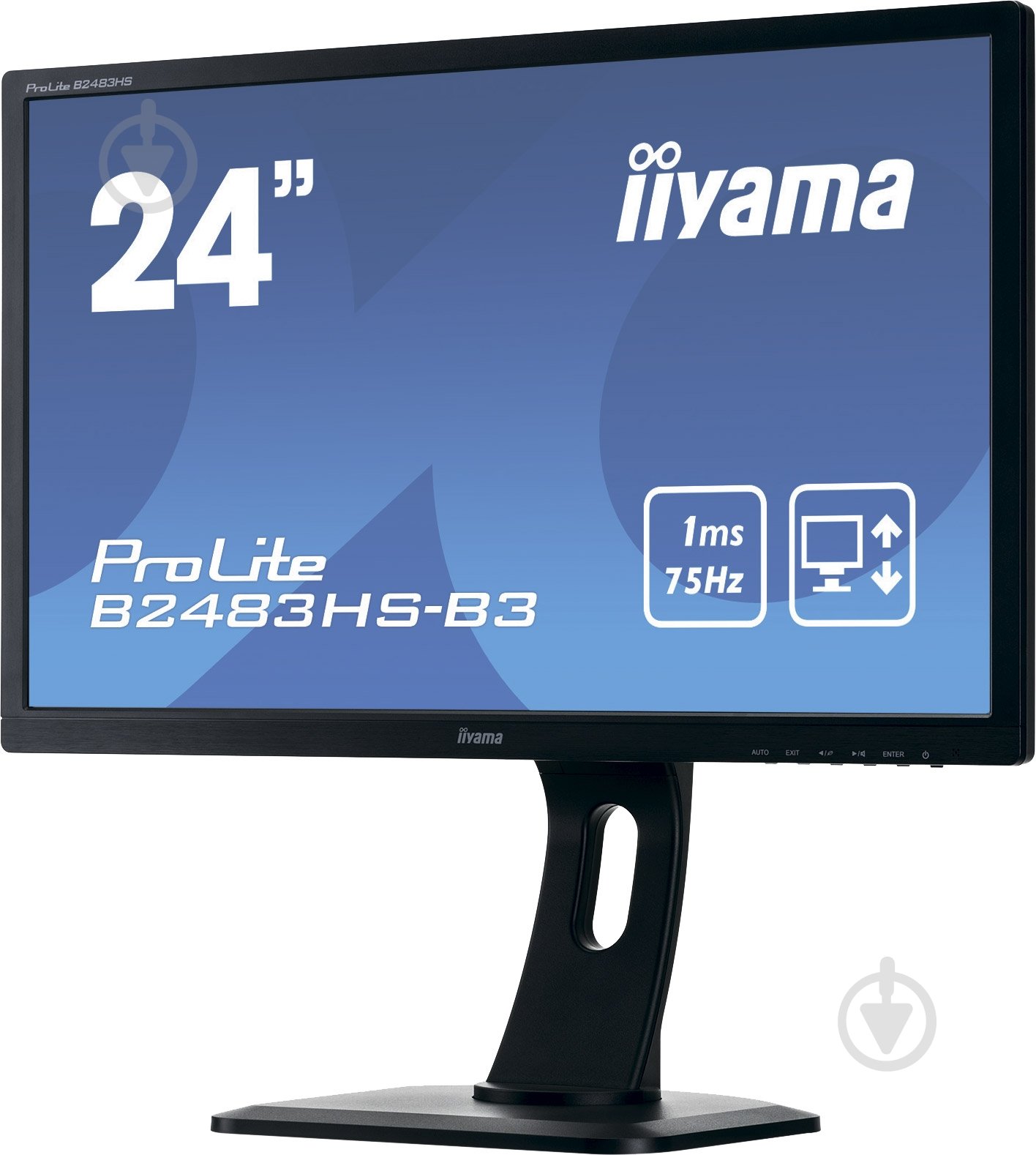 Монитор Iiyama ProLite 24" (B2483HS-B3) - фото 4
