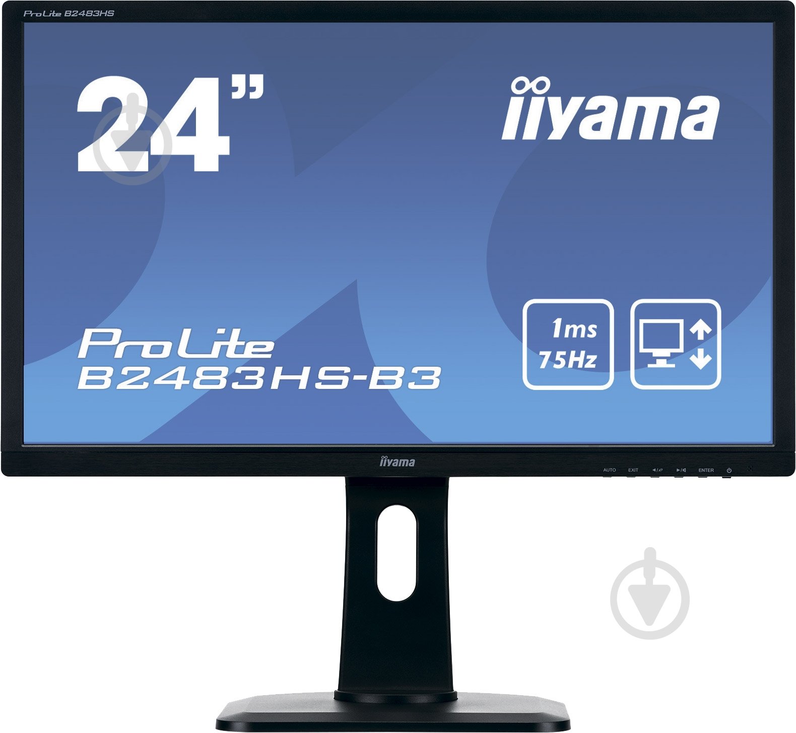 Монитор Iiyama ProLite 24" (B2483HS-B3) - фото 1