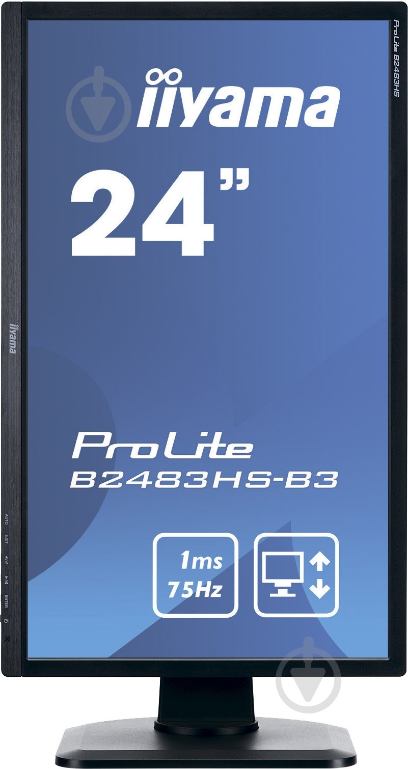 Монитор Iiyama ProLite 24" (B2483HS-B3) - фото 3