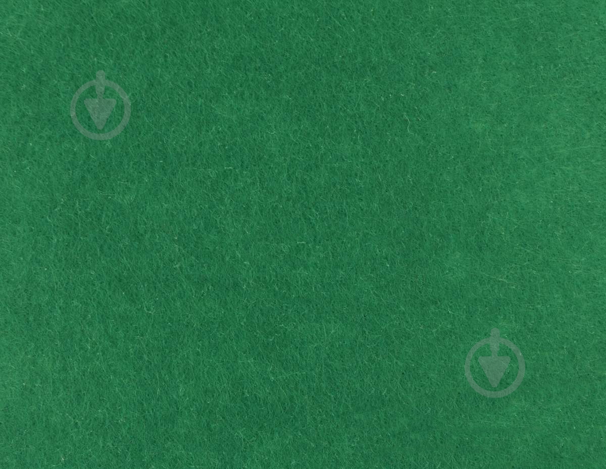 Фетр листовой темно-зеленый 165FW-H017 1-1,4 мм, 21,5х28 см - фото 1
