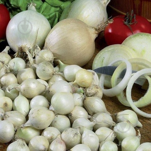 Семена Яскрава лук Глэдстоун 500 г (4823069915711) - фото 1 Семена Яскрава лук Глэдстоун 500 г (4823069915711) - фото 1