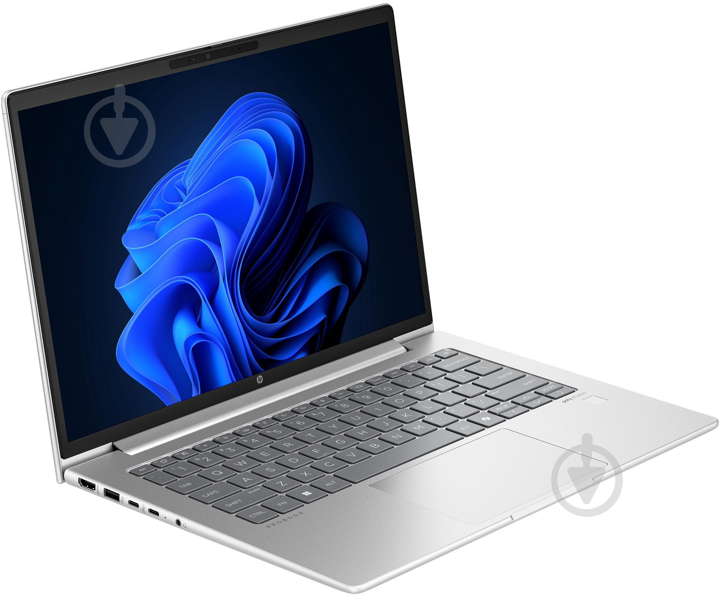Ноутбук HP ProBook 445 G11 14" (AD0T5ET) pike silver - фото 2