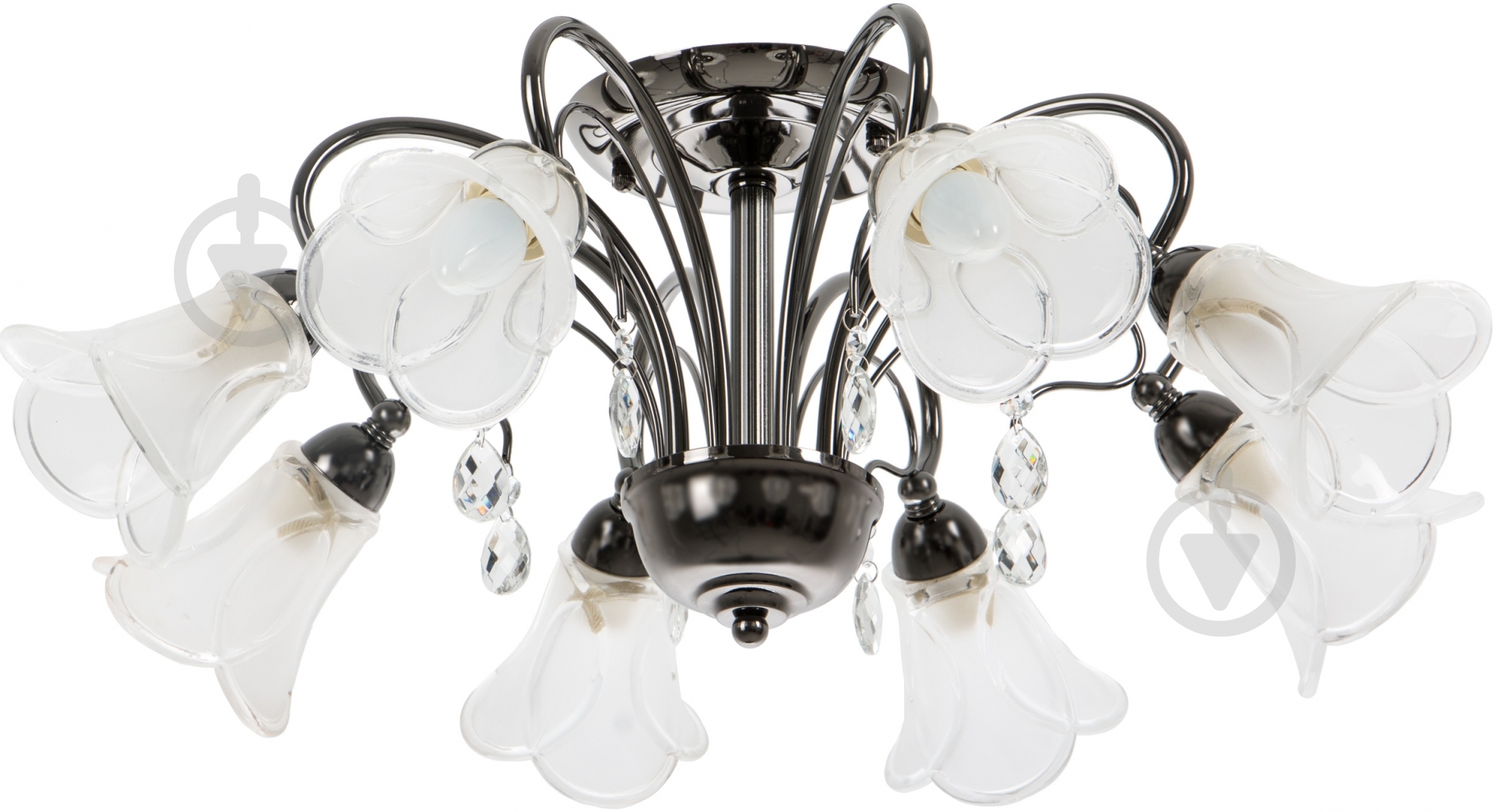 Люстра потолочная Accento lighting Valensia 8xE14 - фото 1