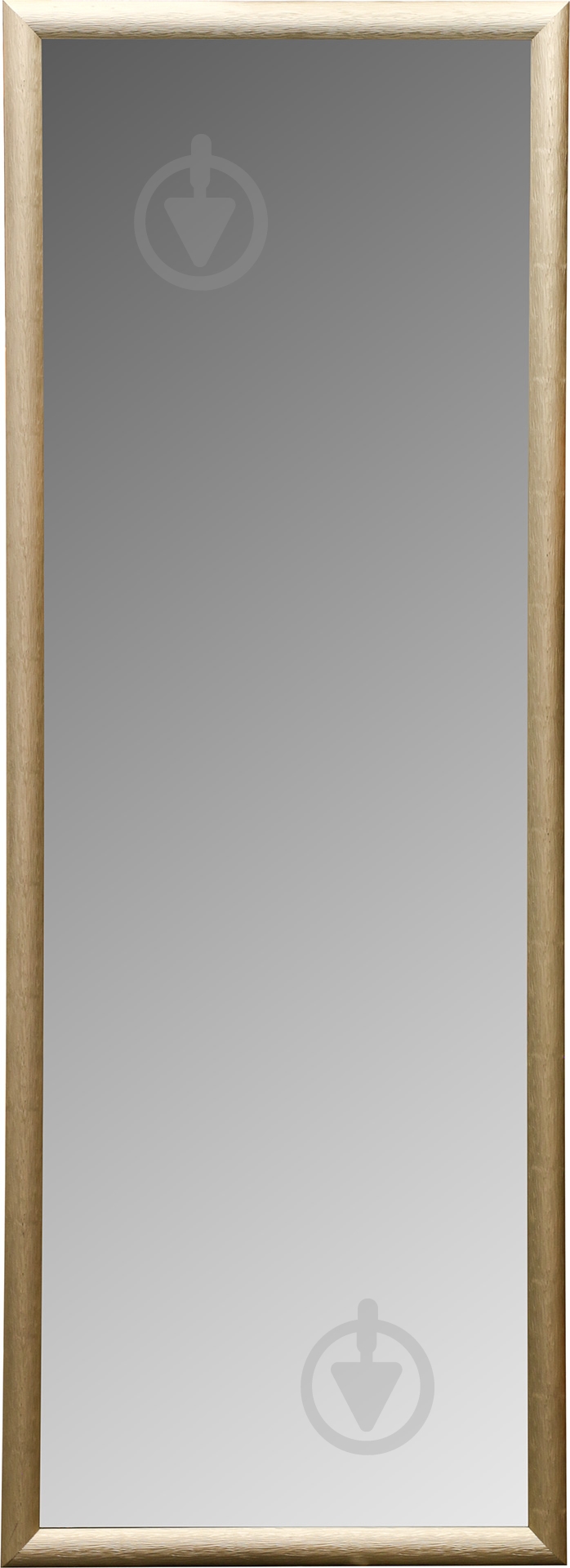 Дзеркало ЕЗ-00272 120х40 см - фото 1