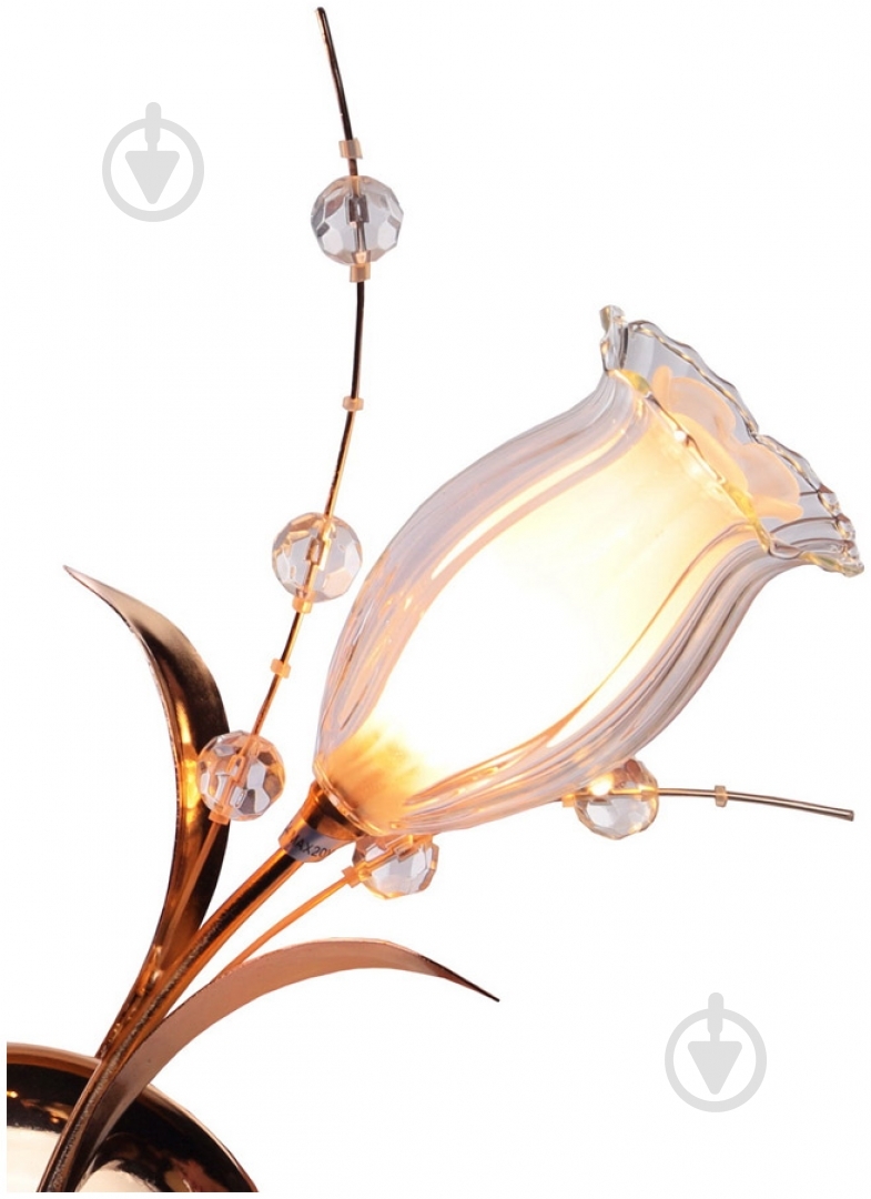 Бра Vijin 2x20 Вт G4 белый Lavanda/AP2 - фото 2