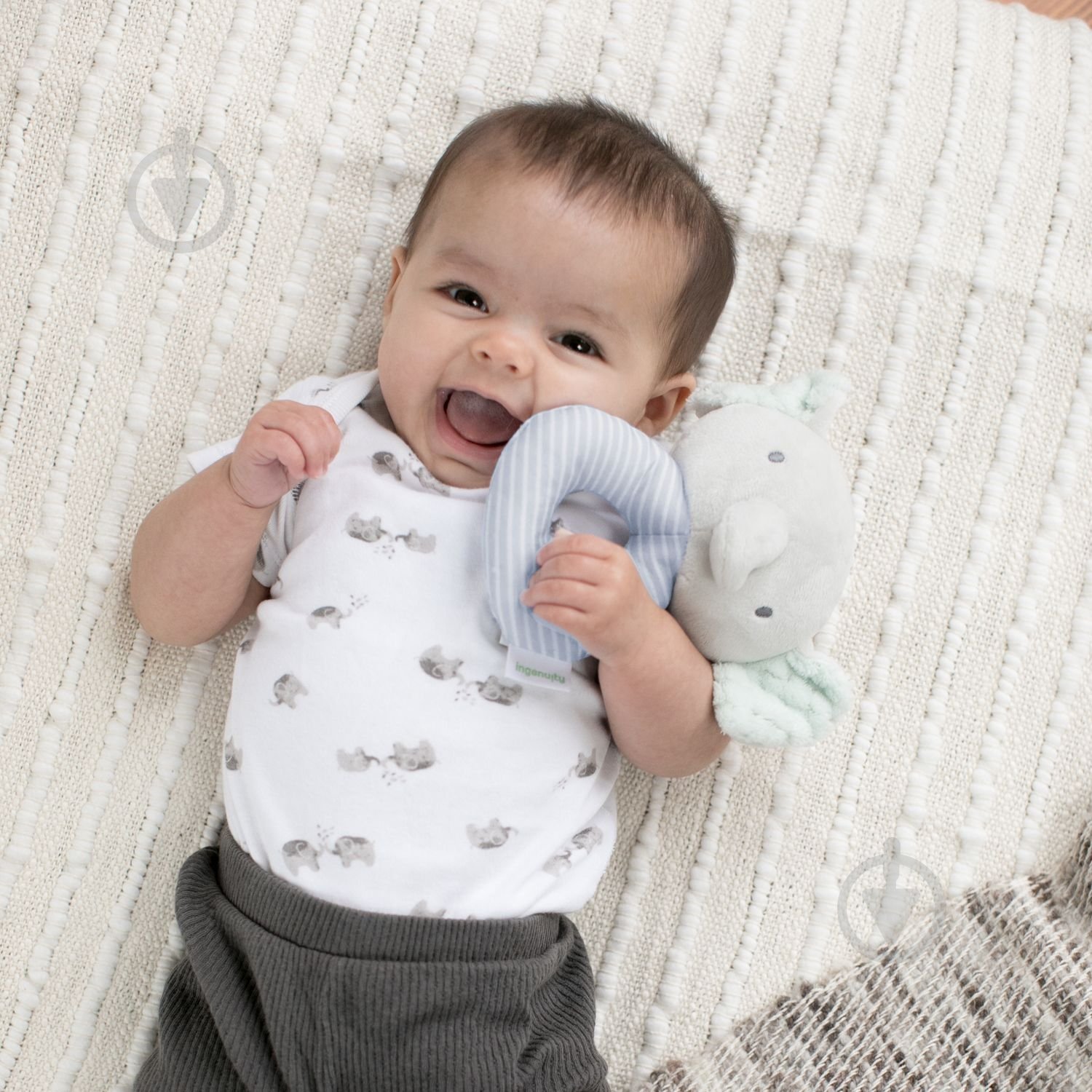 Погремушка Ingenuity Van 12372 - фото 3 Погремушка Ingenuity Van 12372 - фото 3