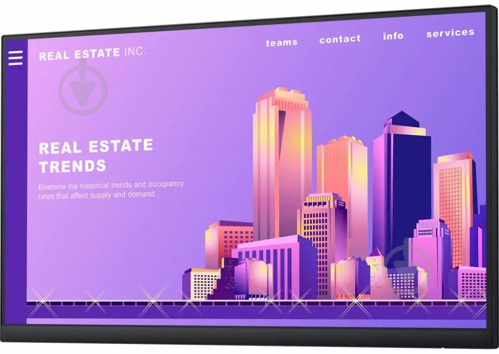 Монитор Dell P2422H 24" (210-AZYY-2108UZITDEV) - фото 2