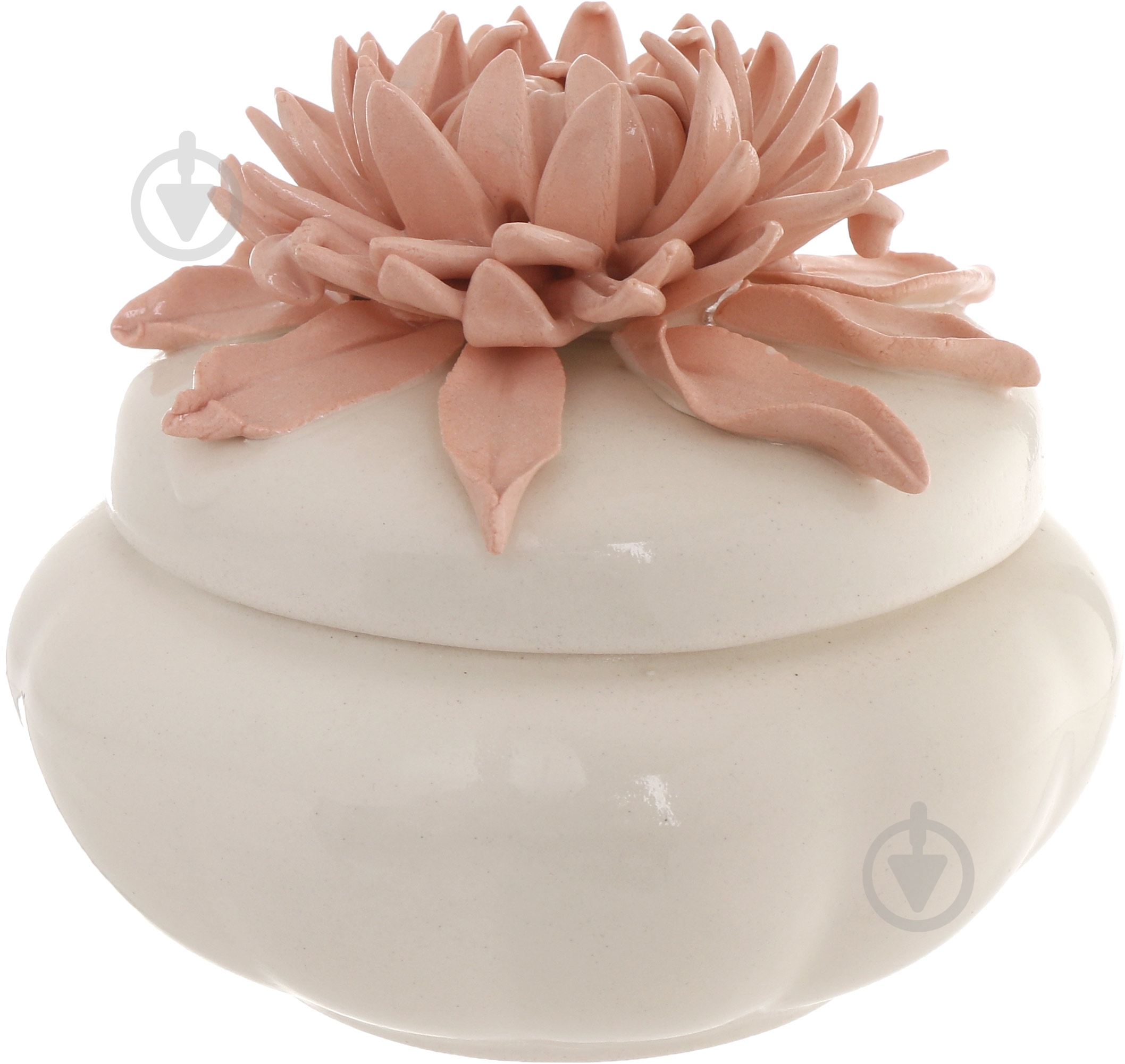 Шкатулка Астра - фото 1