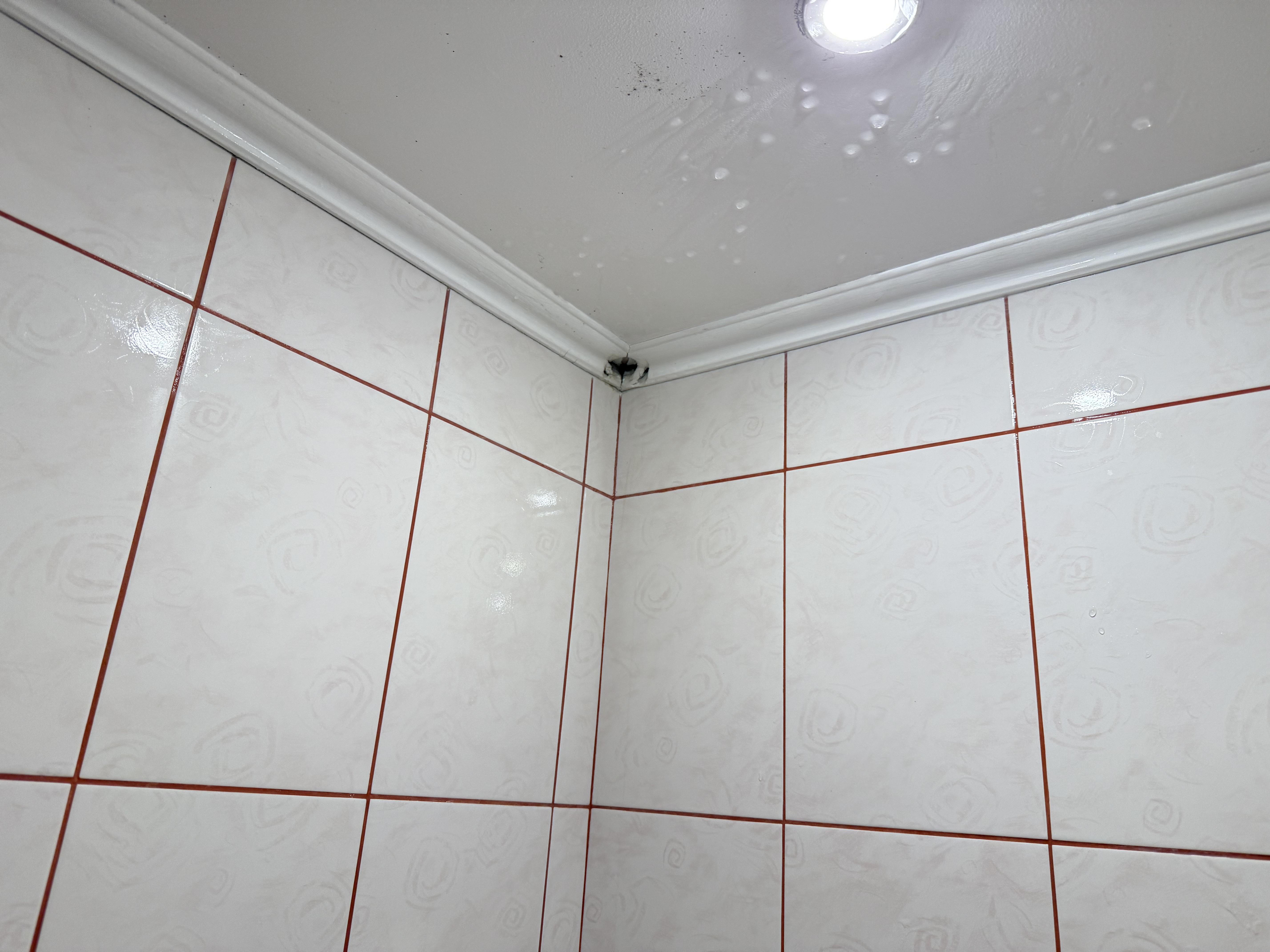 Засіб Cillit Bang Trigger для видалення чорної цвілі 0,75 л у реальних умовах використання від користувача Дмитро.