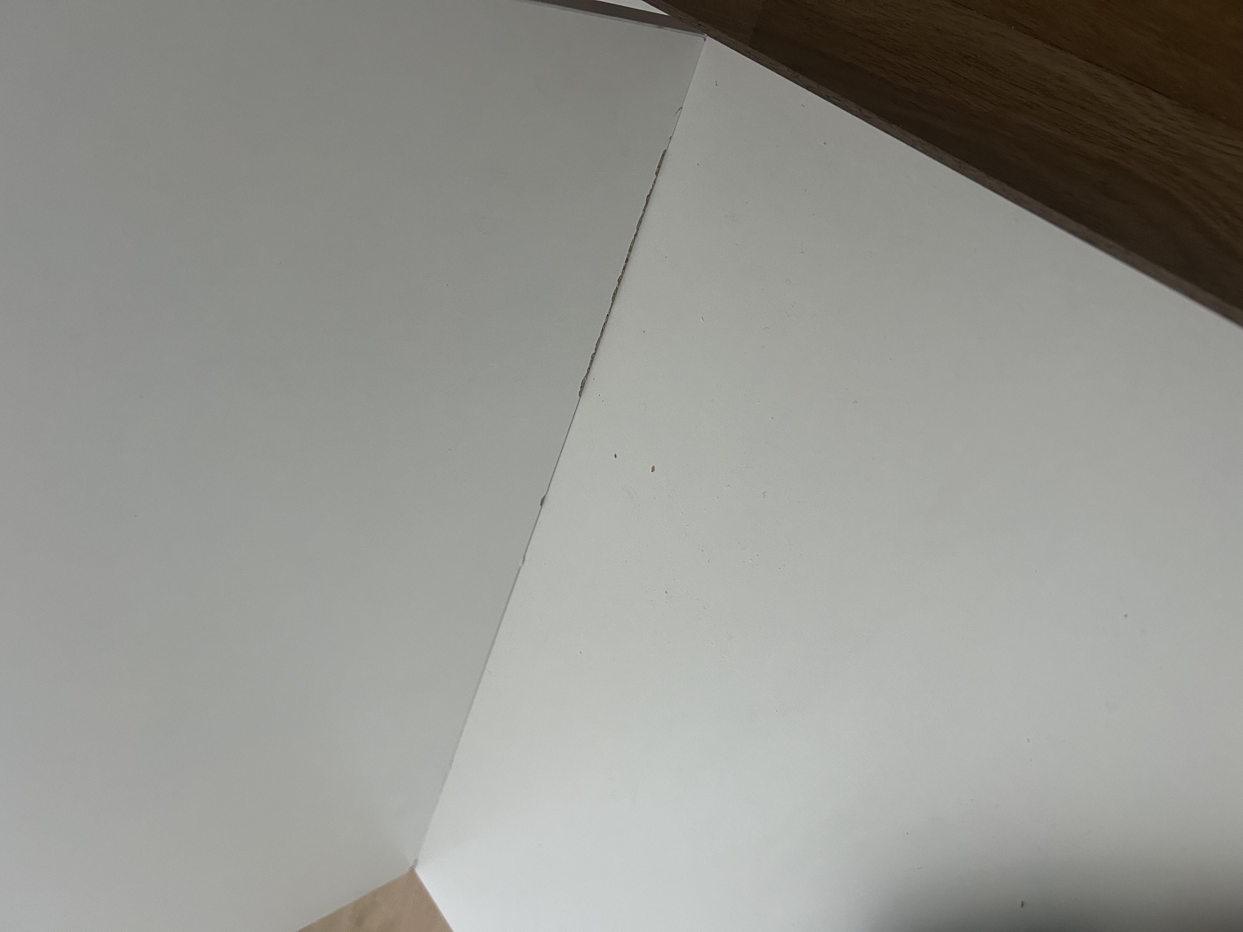 Фото: Шафа розпашна ШР7 SENAM 2400х1400х450 мм корпус Дуб Крафт Золотий фасад ДСП Антрацитовий (ШР7.24.45.14.А), надіслане покупцем Юлія Шафа розпашна ШР7 SENAM 2400х1400х450 мм корпус Дуб Крафт Золотий фасад ДСП Антрацитовий (ШР7.24.45.14.А) у реальних умовах використання від покупця Юлія.