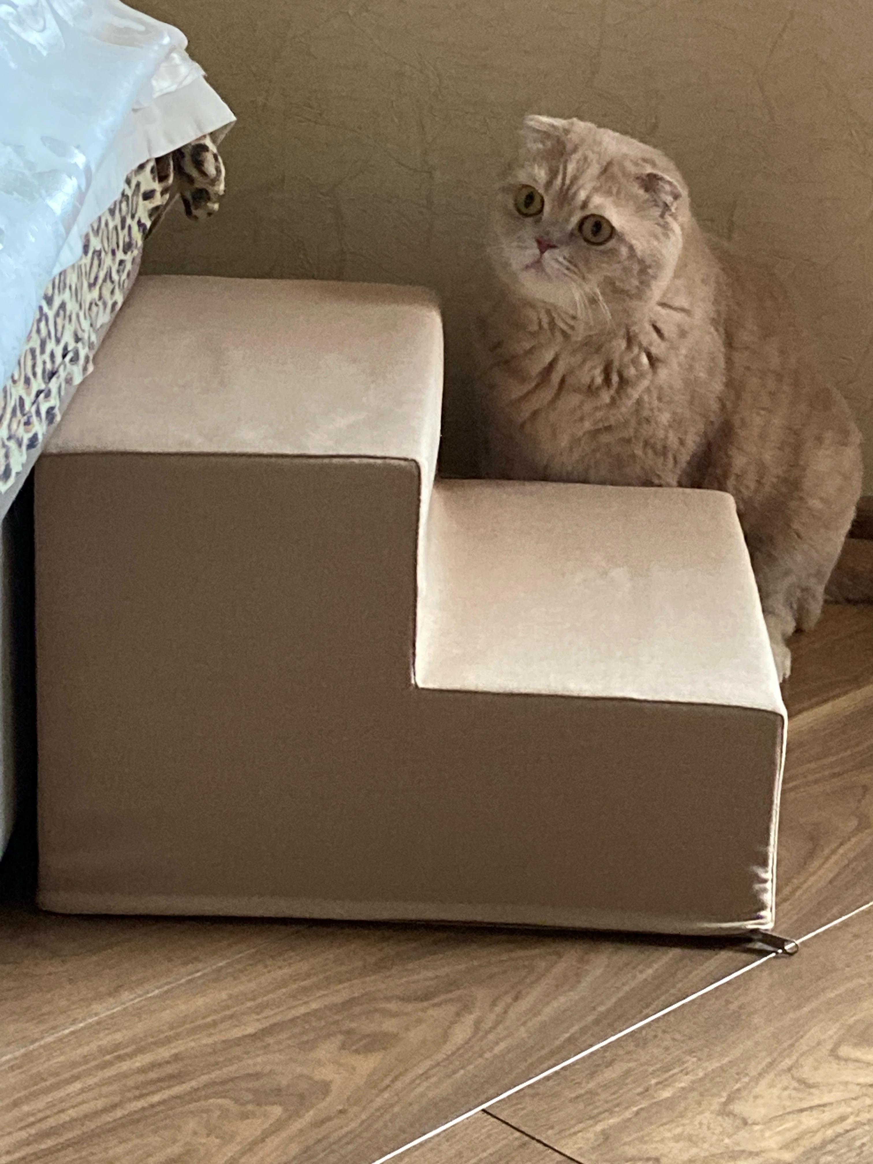 Ступени для собак и кошек ткань мебельная 36х27х40 см Серый (12558556) в реальных условиях использования от пользователя Лариса.