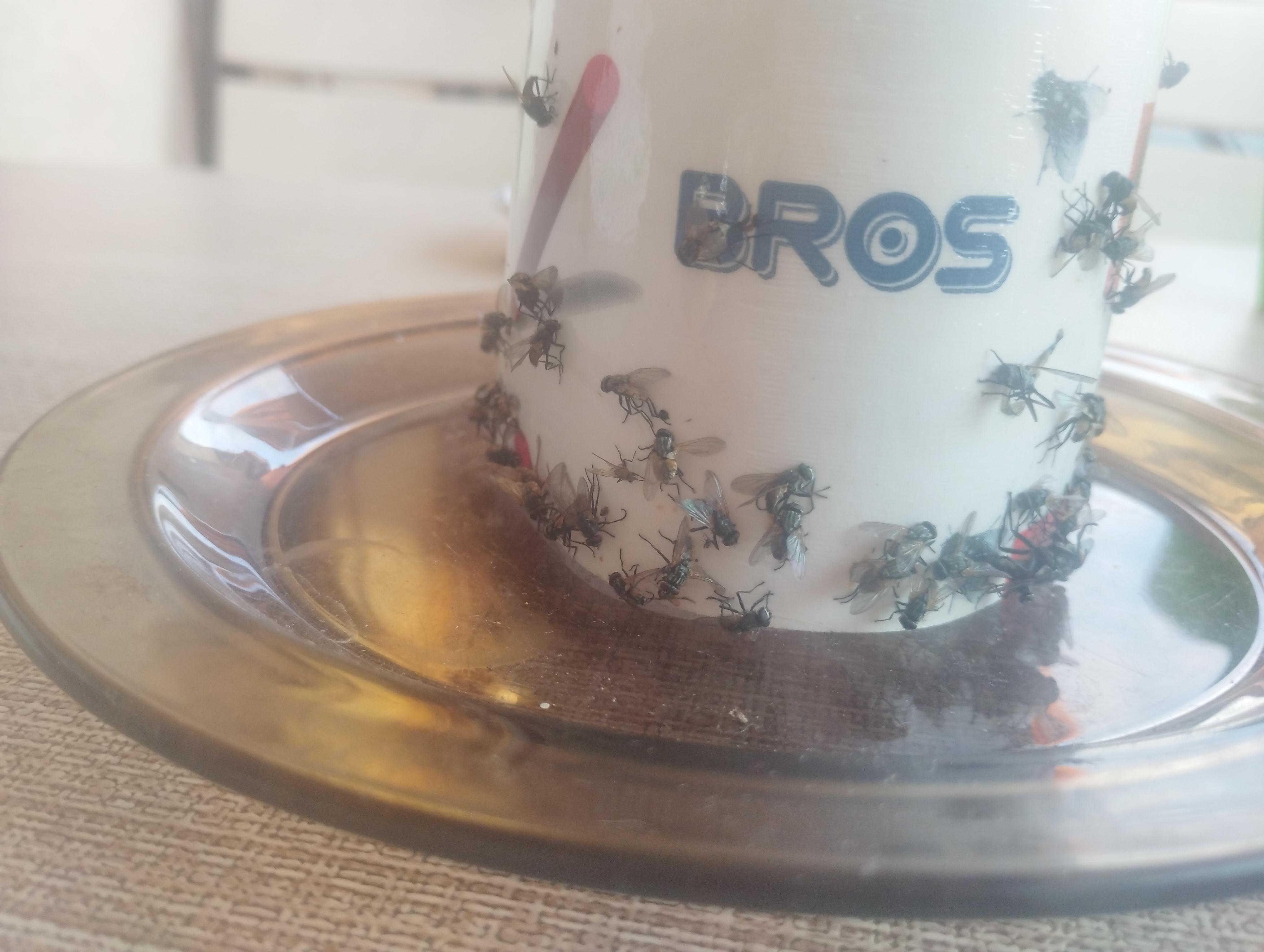 Липка стрічка від мух Bros 1 шт. у реальних умовах використання від покупця Миханл.