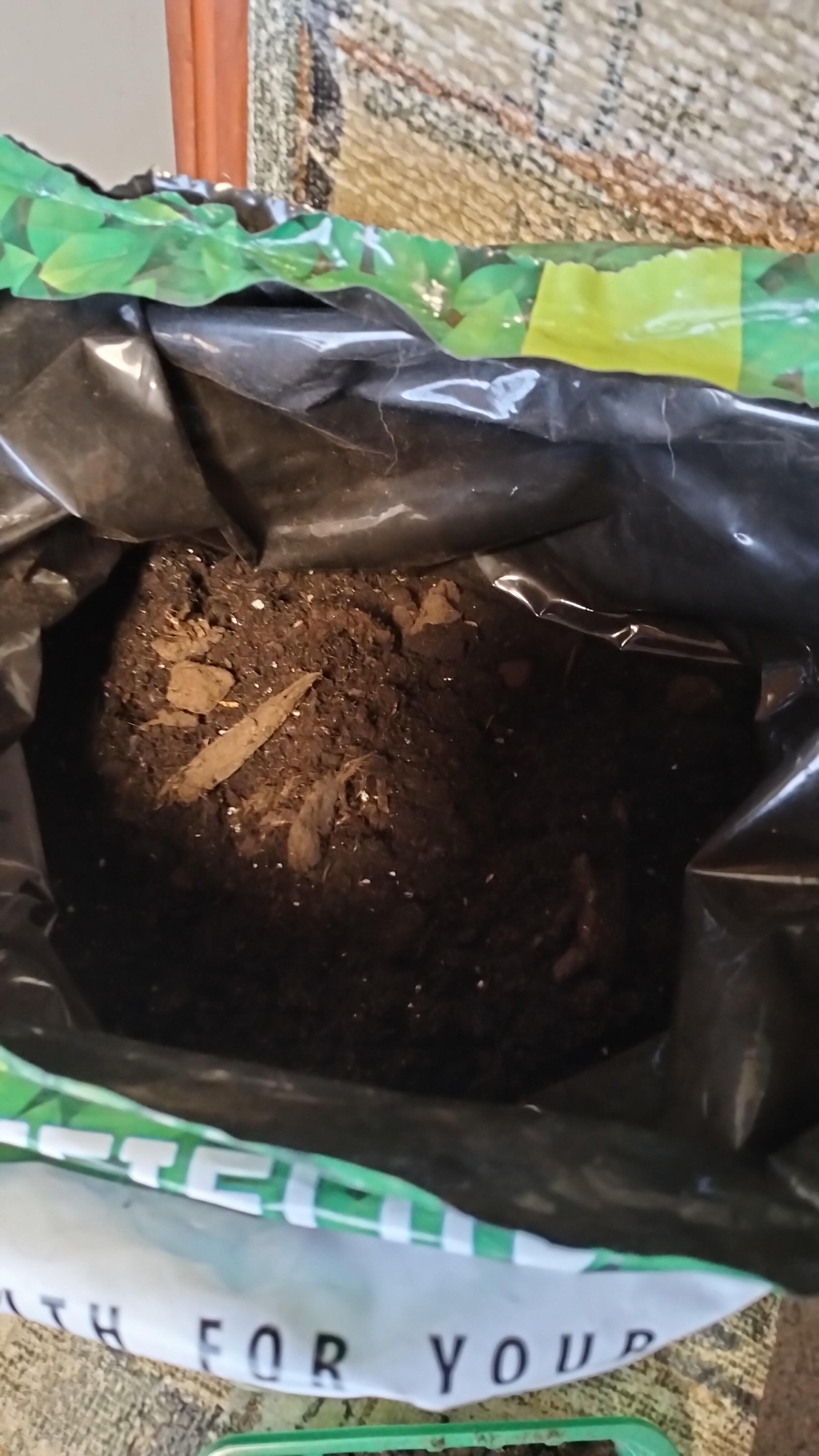 Субстрат торфяной PEATFIELD рассада 20л в реальных условиях использования от пользователя Таміла.