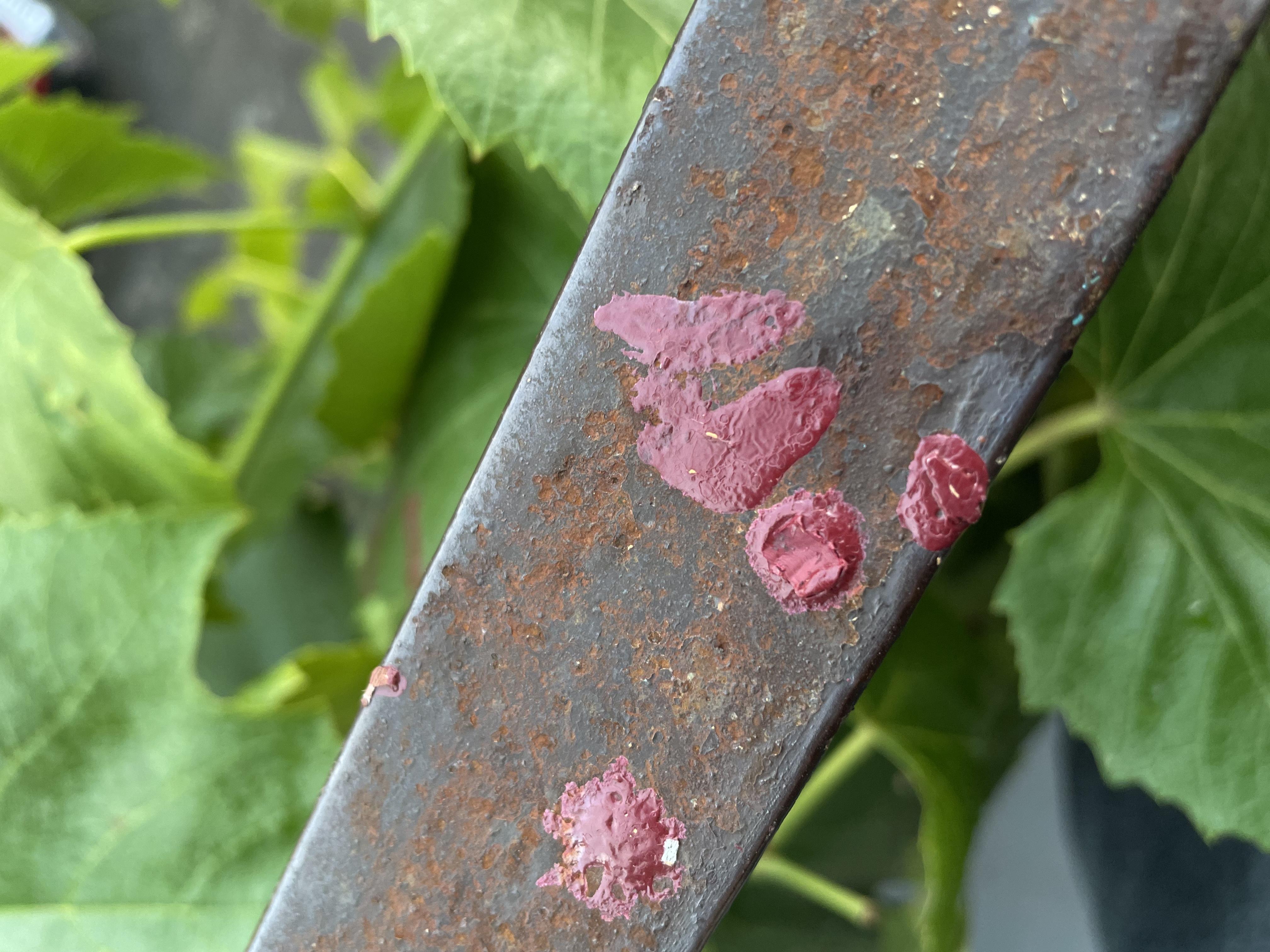 Емаль-грунт ZEBRA PROF 011P білий мат 2,5 кг у реальних умовах використання від користувача Уляна.