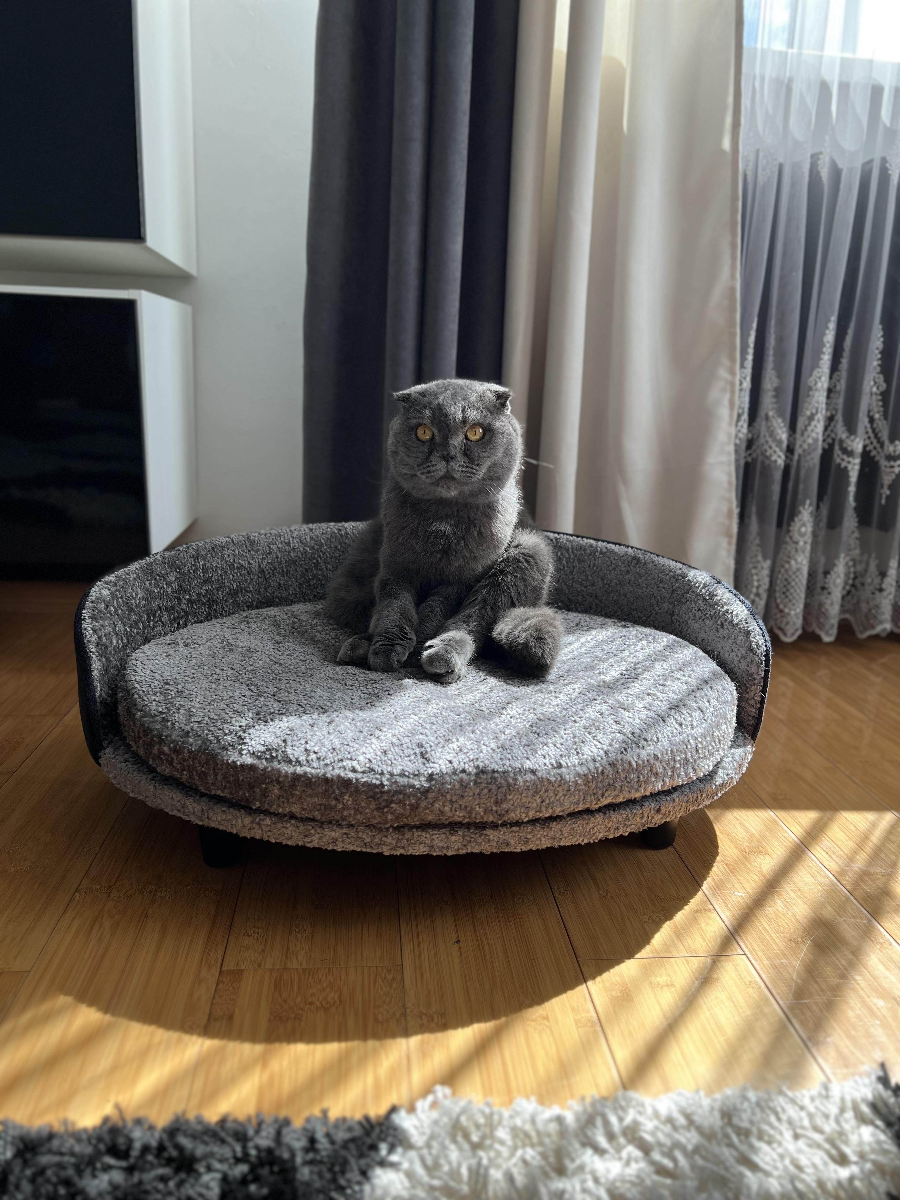 Миска подвійна керамічна для собак і котів на підставці 2х400 мл Чорний у реальних умовах використання від користувача Сергій.