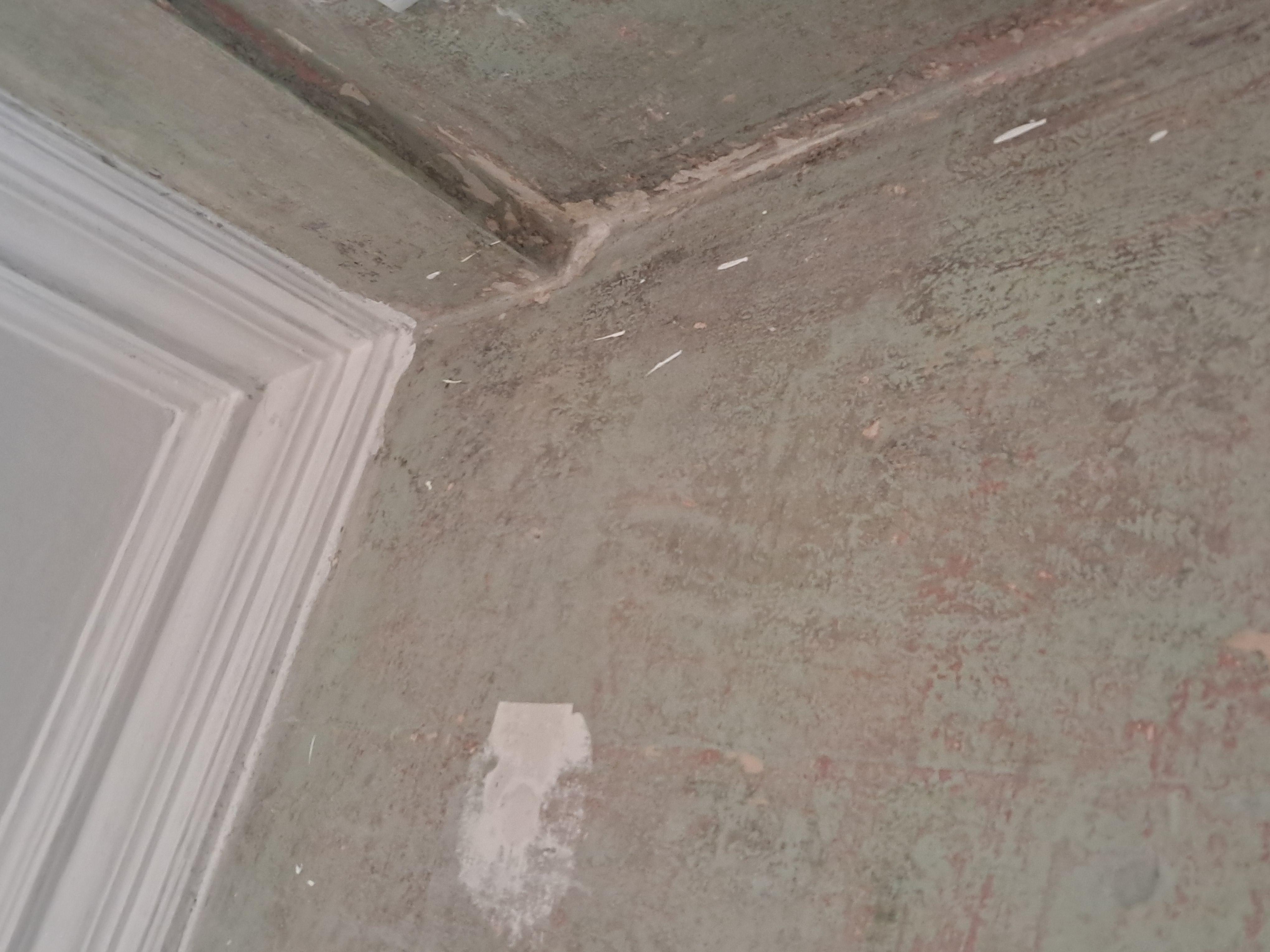 Грунтовка фунгицидная Ceresit CT 99 антимикробная 1 л в реальных условиях использования от пользователя Анна.