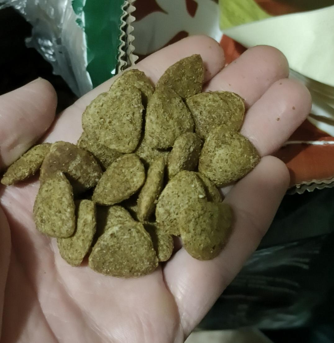 Фото: Сухий корм для дорослих собак усіх порід Рекс Стандарт 10 кг (820097803751), надіслане користувачем В'ячеслав Сухий корм для дорослих собак усіх порід Рекс Стандарт 10 кг (820097803751) у реальних умовах використання від користувача В'ячеслав.