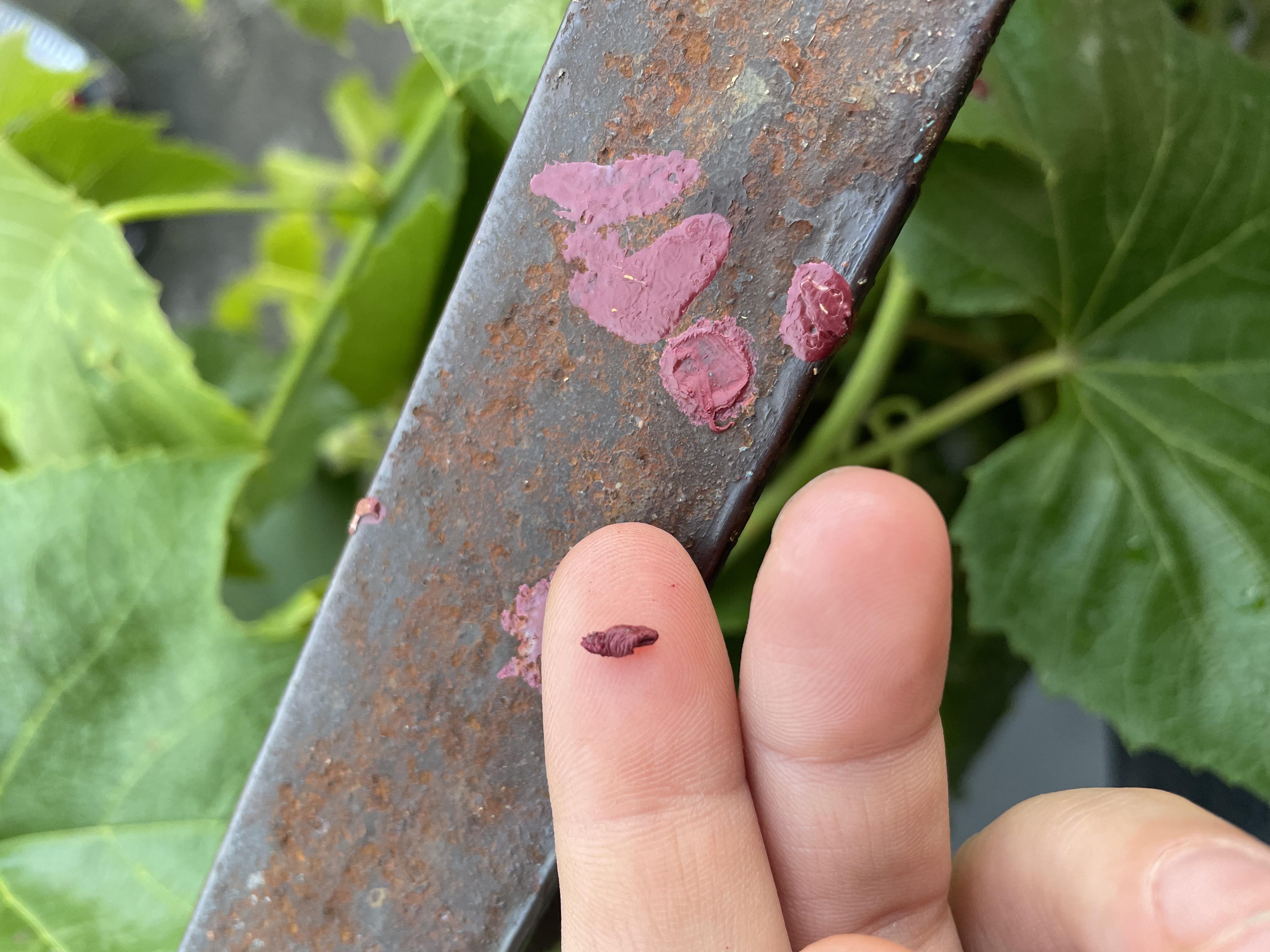 Емаль-грунт ZEBRA PROF 011P білий мат 2,5 кг у реальних умовах використання від користувача Уляна.