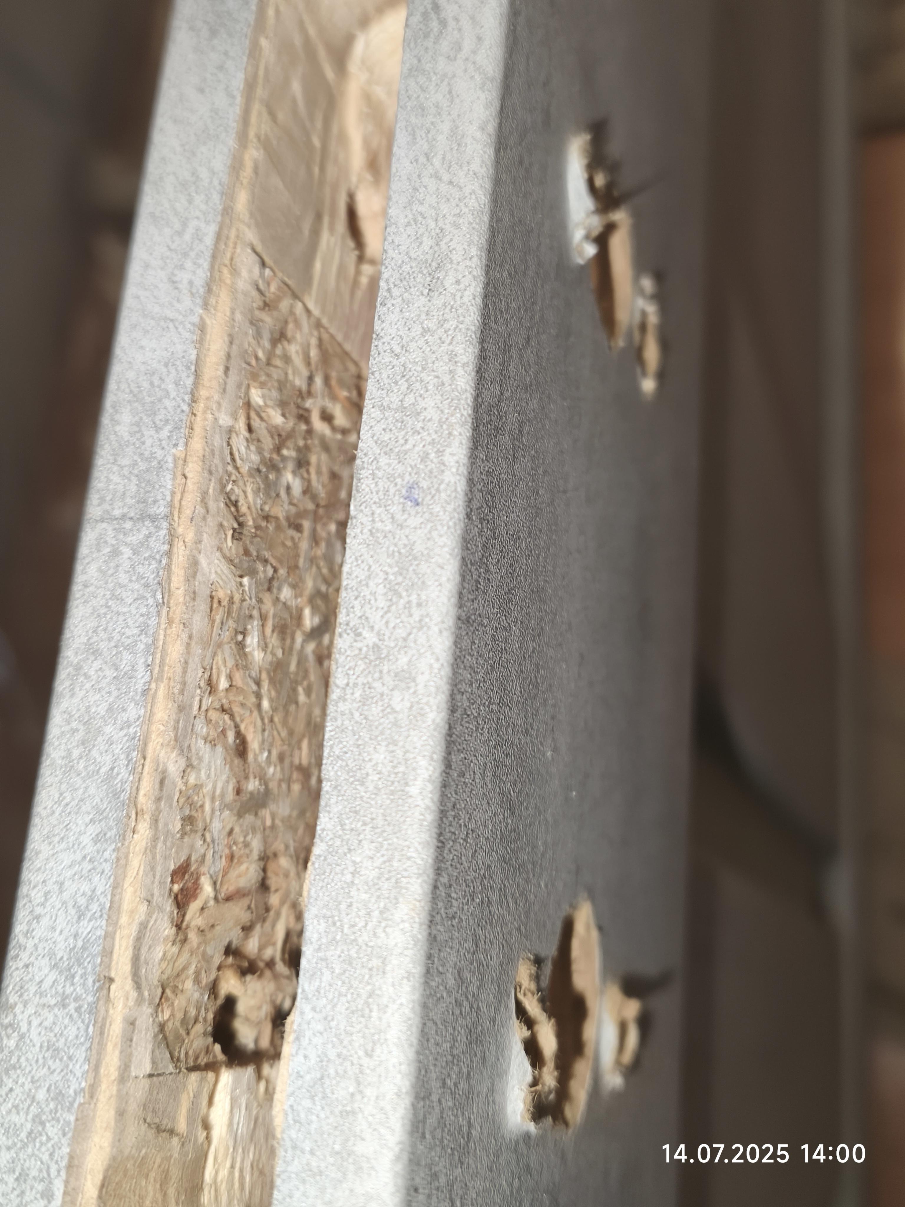 Фото: Дверное полотно ОМиС Cortex 09 ПО 800 мм дуб бианко, отправлено пользователем Роман Дверное полотно ОМиС Cortex 09 ПО 800 мм дуб бианко в реальных условиях использования от пользователя Роман.