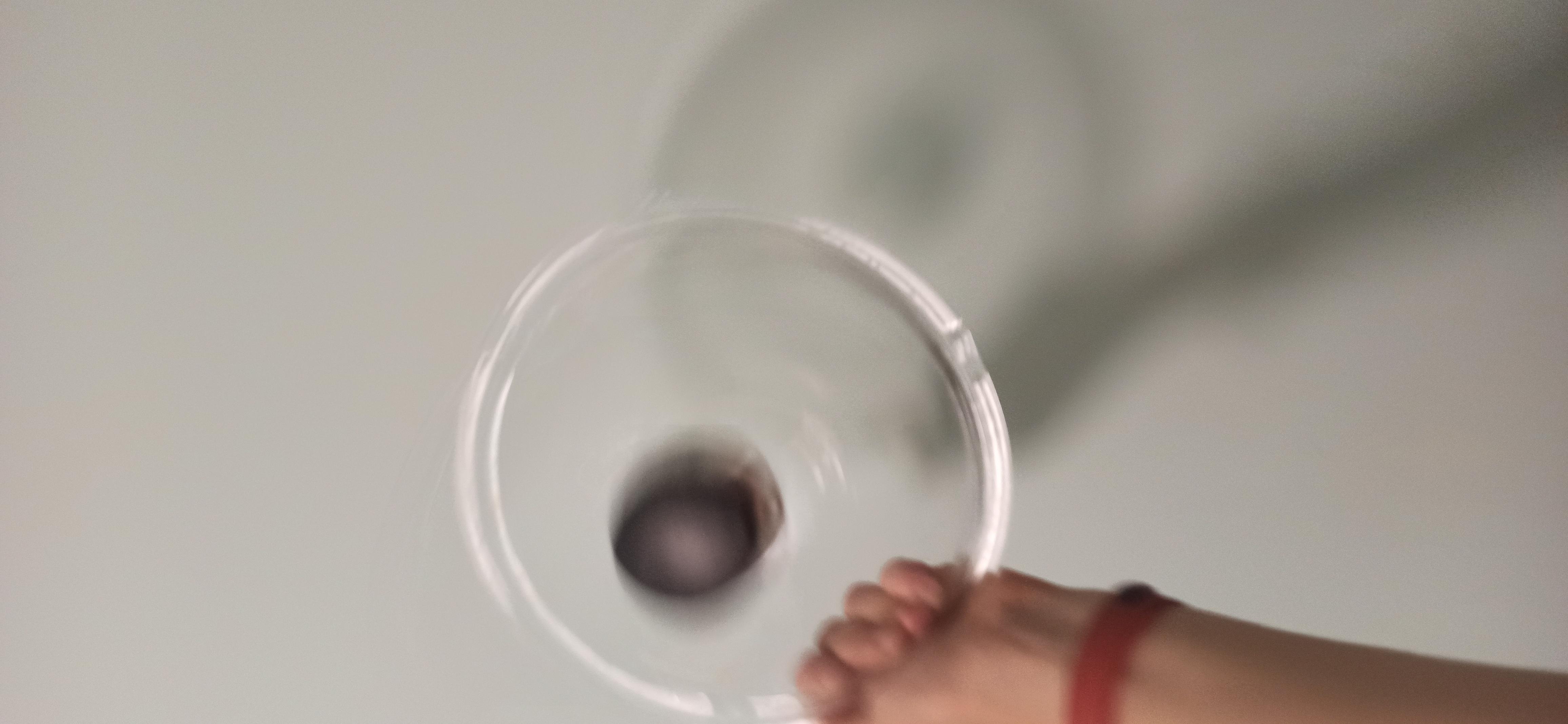 Фото: Каструля Ballarini Positano 24 см (1000616), надіслане користувачем Татьяна Каструля Ballarini Positano 24 см (1000616) у реальних умовах використання від користувача Татьяна.