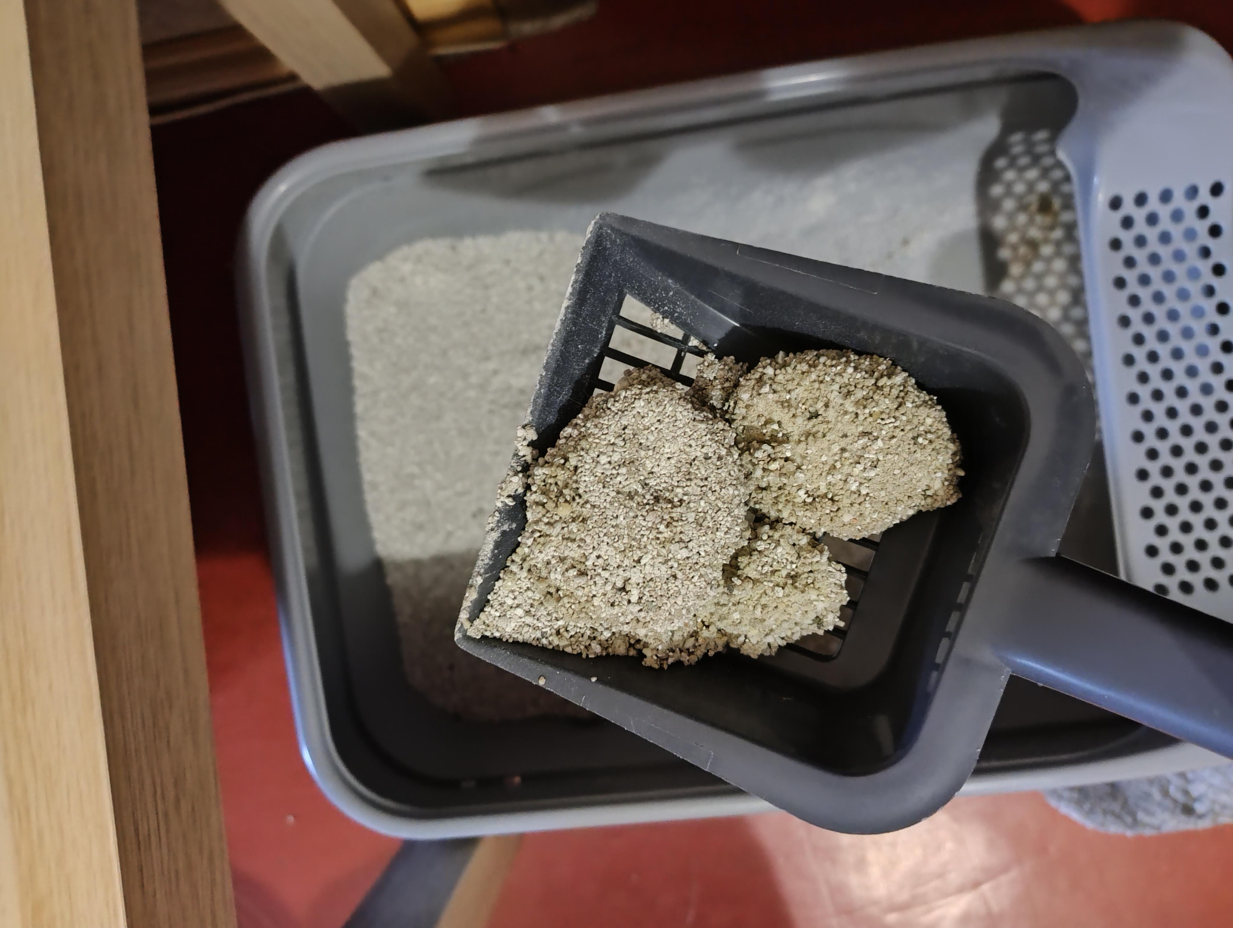 Наполнитель бентонитовый Ро Кет Классик 10 л в реальных условиях использования от покупателя Нина Пасичная.