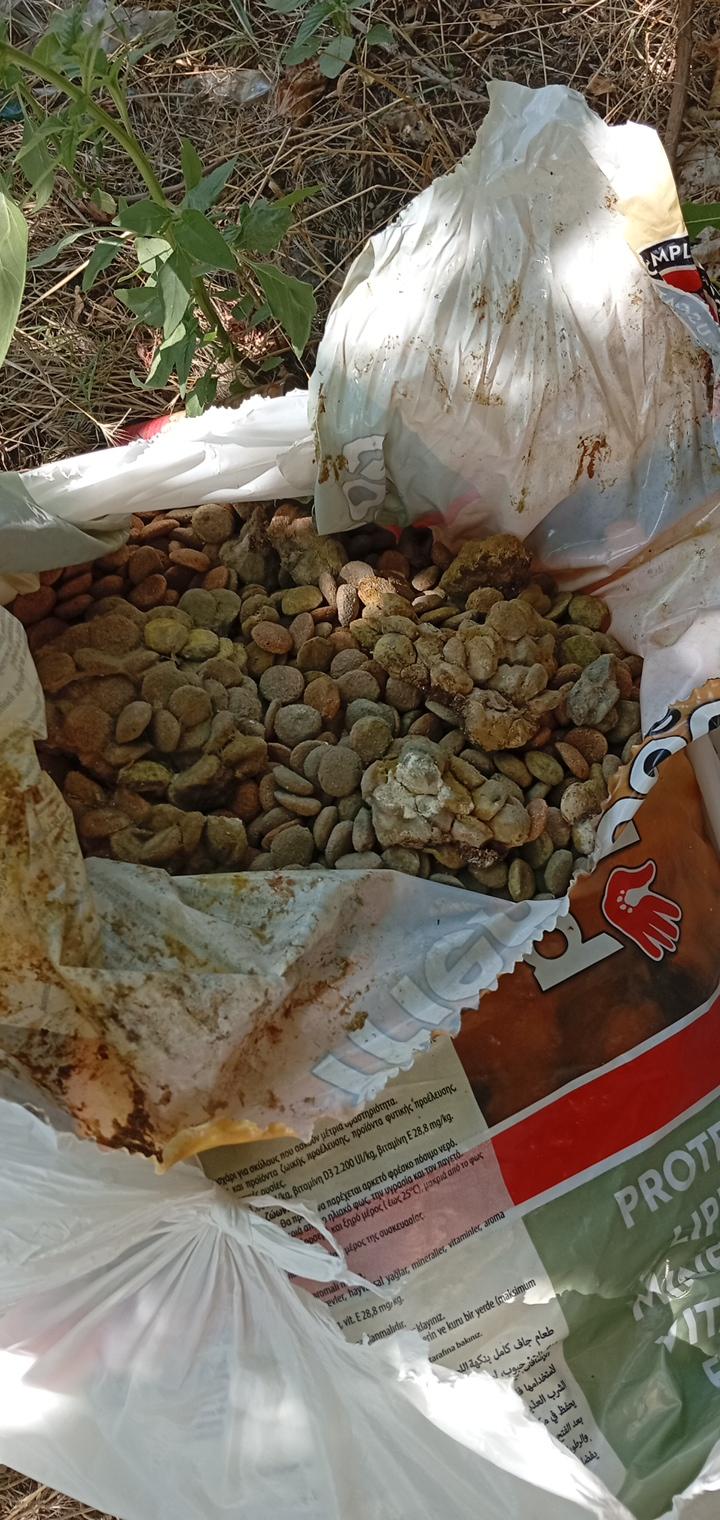 Корм сухий для собак Good Friend зі смаком курки для всіх порід 40 кг (388009494) у реальних умовах використання від користувача нина.