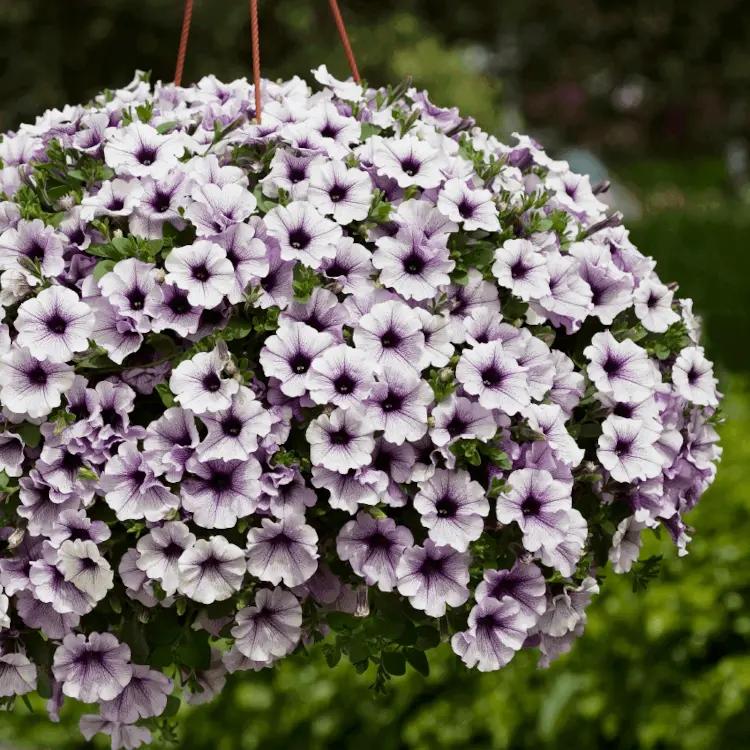 Субстрат универсальный Durpeta торфяной 70 л в реальных условиях использования от покупателя Олег.