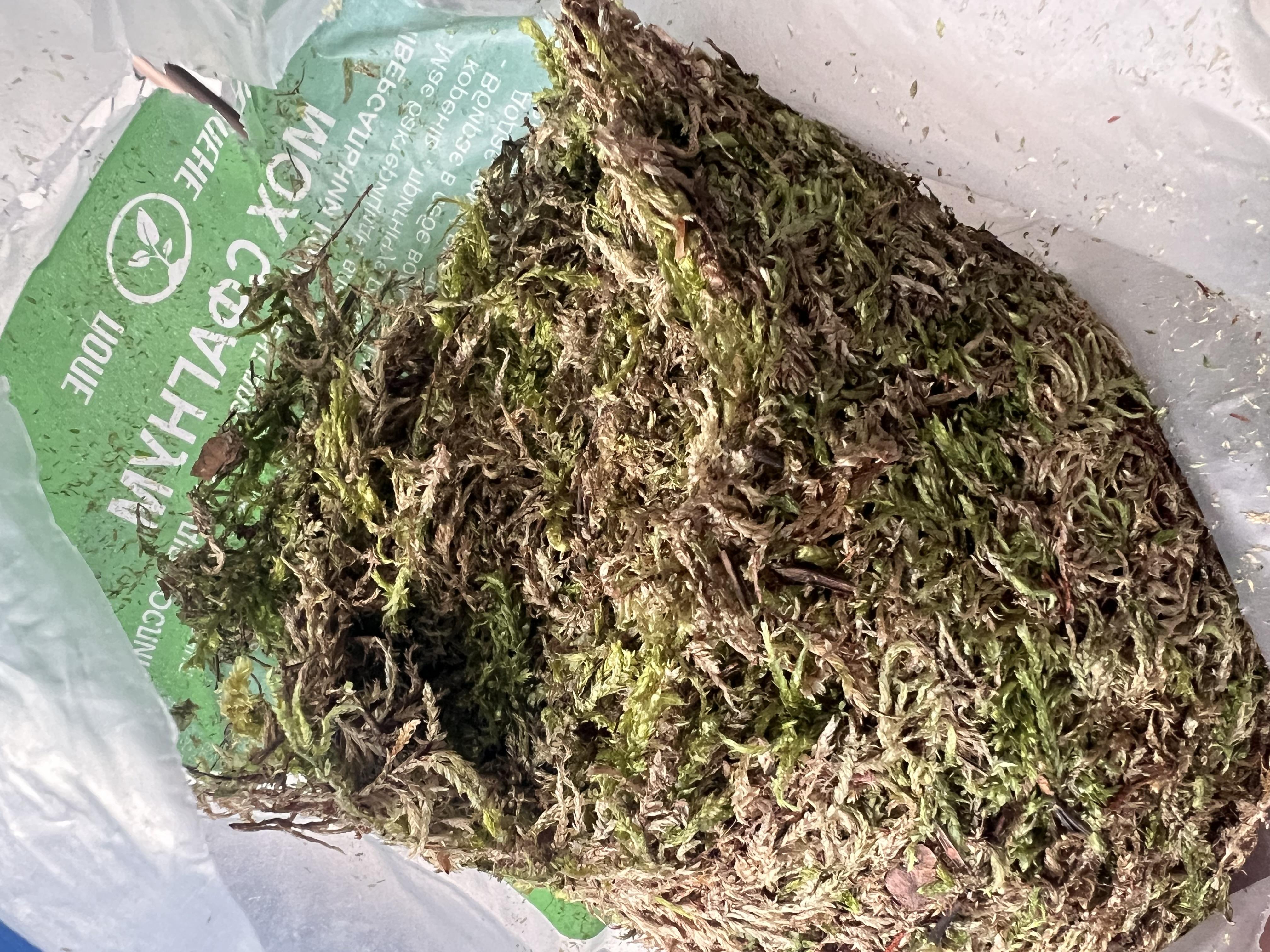 Фото: Мох сфагнум Зелене поле 1 л, надіслане користувачем Наталія Мох сфагнум Зелене поле 1 л у реальних умовах використання від користувача Наталія.