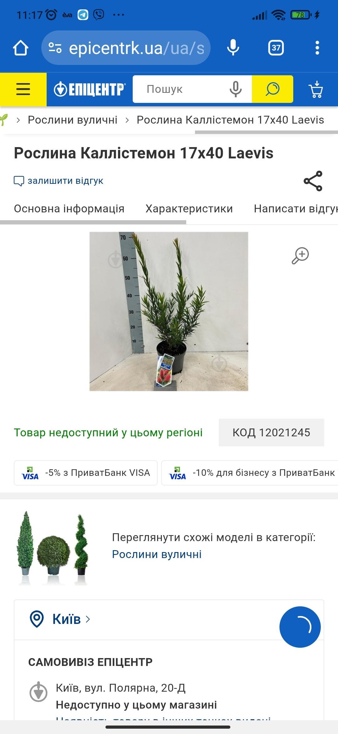 Растение Каллистемон 17х40 Laevis в реальных условиях использования от пользователя Інночка.