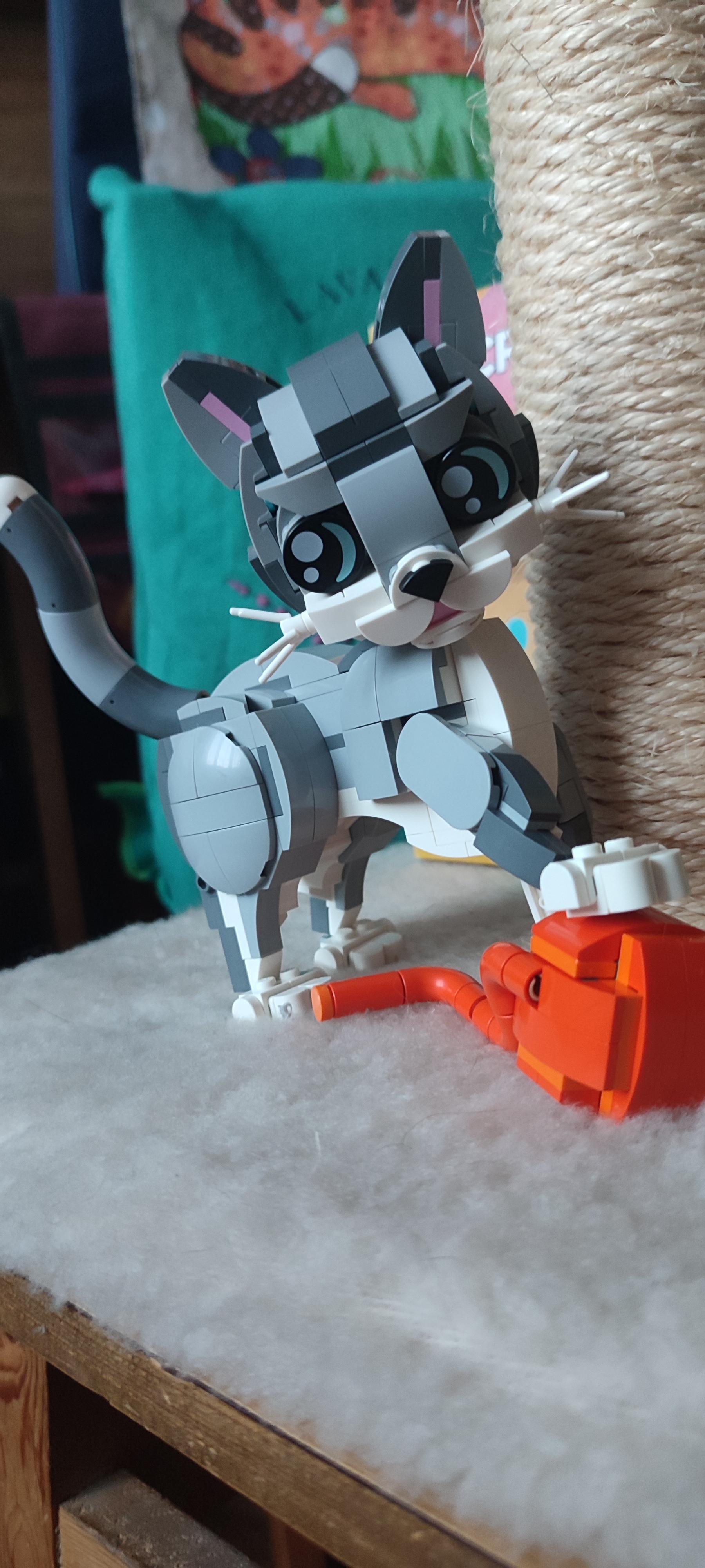 Конструктор LEGO Creator Игривый кот 31163 в реальных условиях использования от покупателя Вероніка.