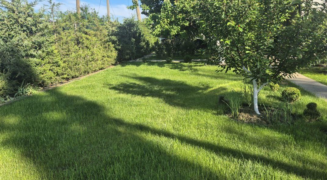 Семена Засухоустойчивый газон ADS Euro Seeds 4 кг в реальных условиях использования от покупателя Іван.