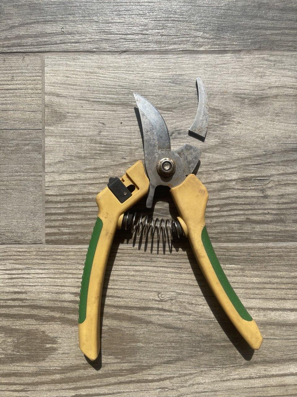 Секатор плоскостной Gruntek Albatross (295216020) в реальных условиях использования от пользователя Ольга.