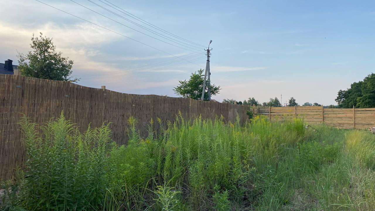 Мат из камыша 180x600 см в реальных условиях использования от покупателя Вікторія.