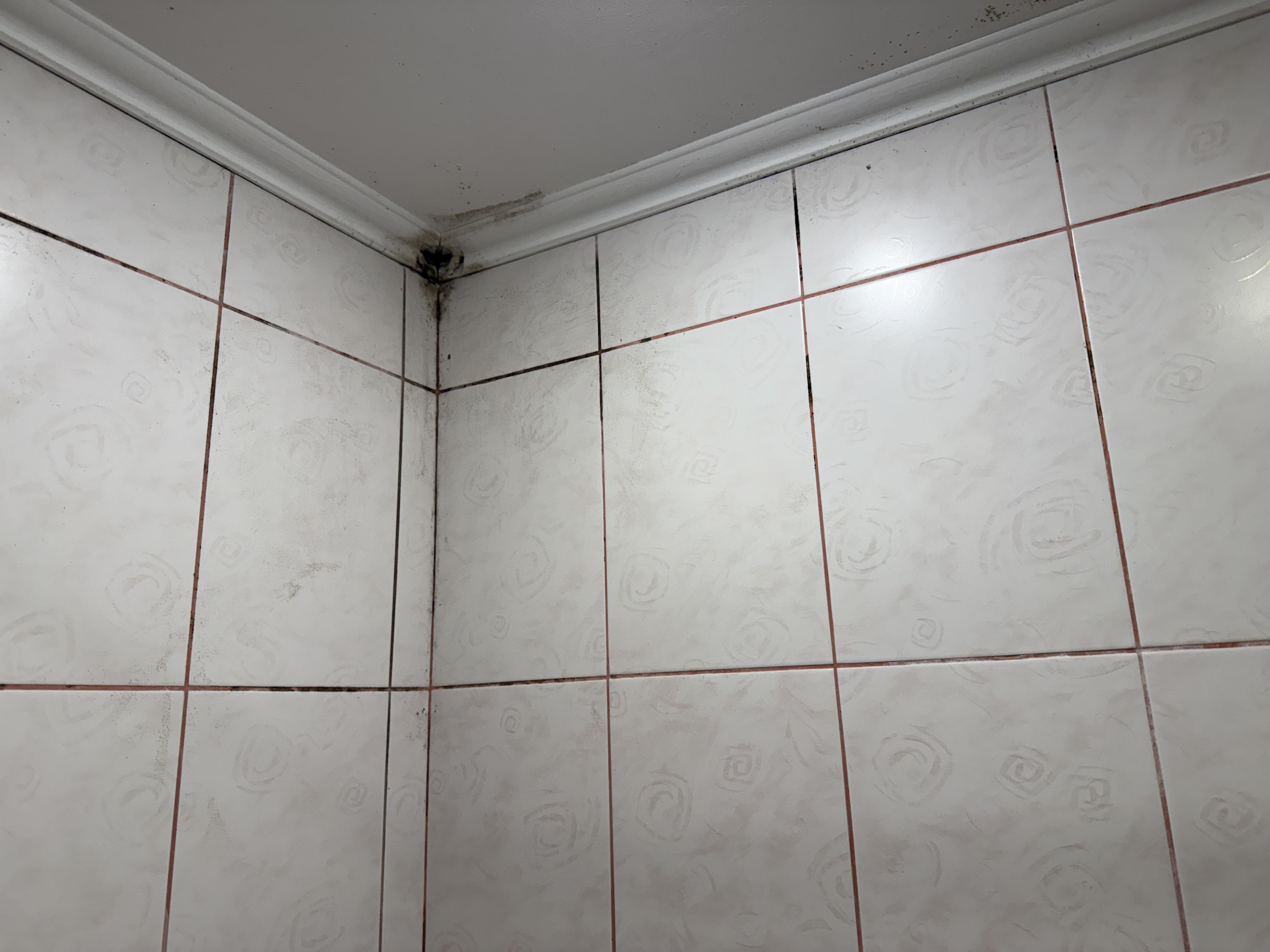 Засіб Cillit Bang Trigger для видалення чорної цвілі 0,75 л у реальних умовах використання від користувача Дмитро.