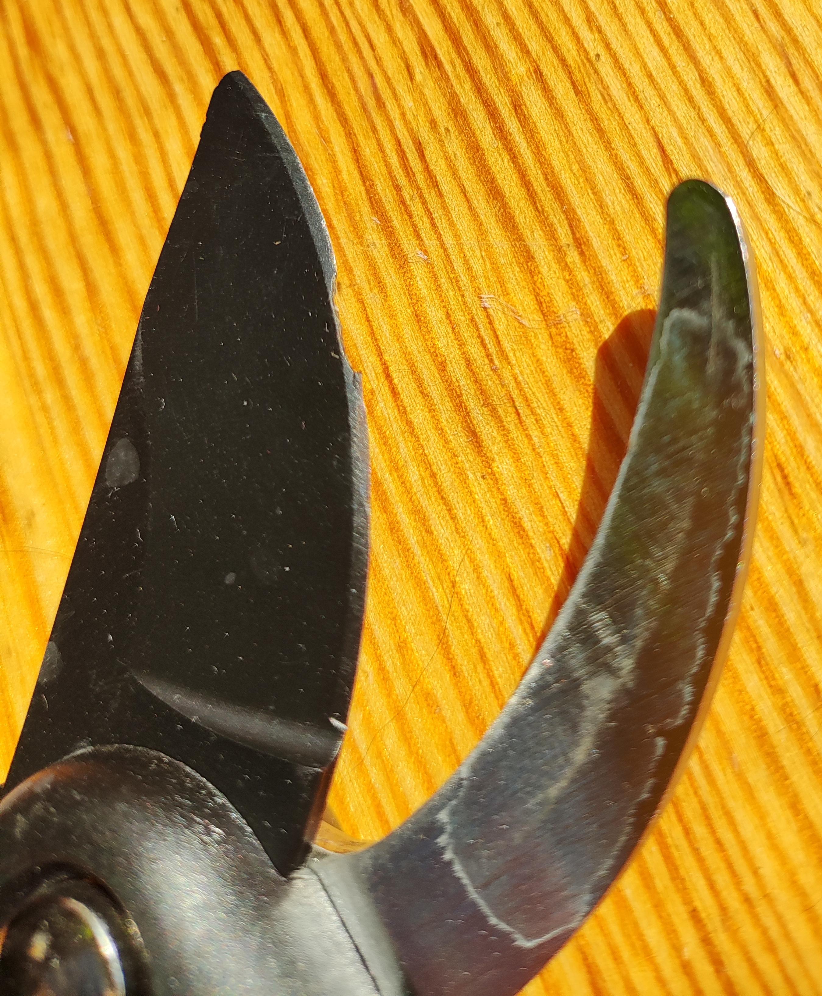 Секатор плоскостной Fiskars Single Step™ P26 (1000567) в реальных условиях использования от пользователя Тетяна.