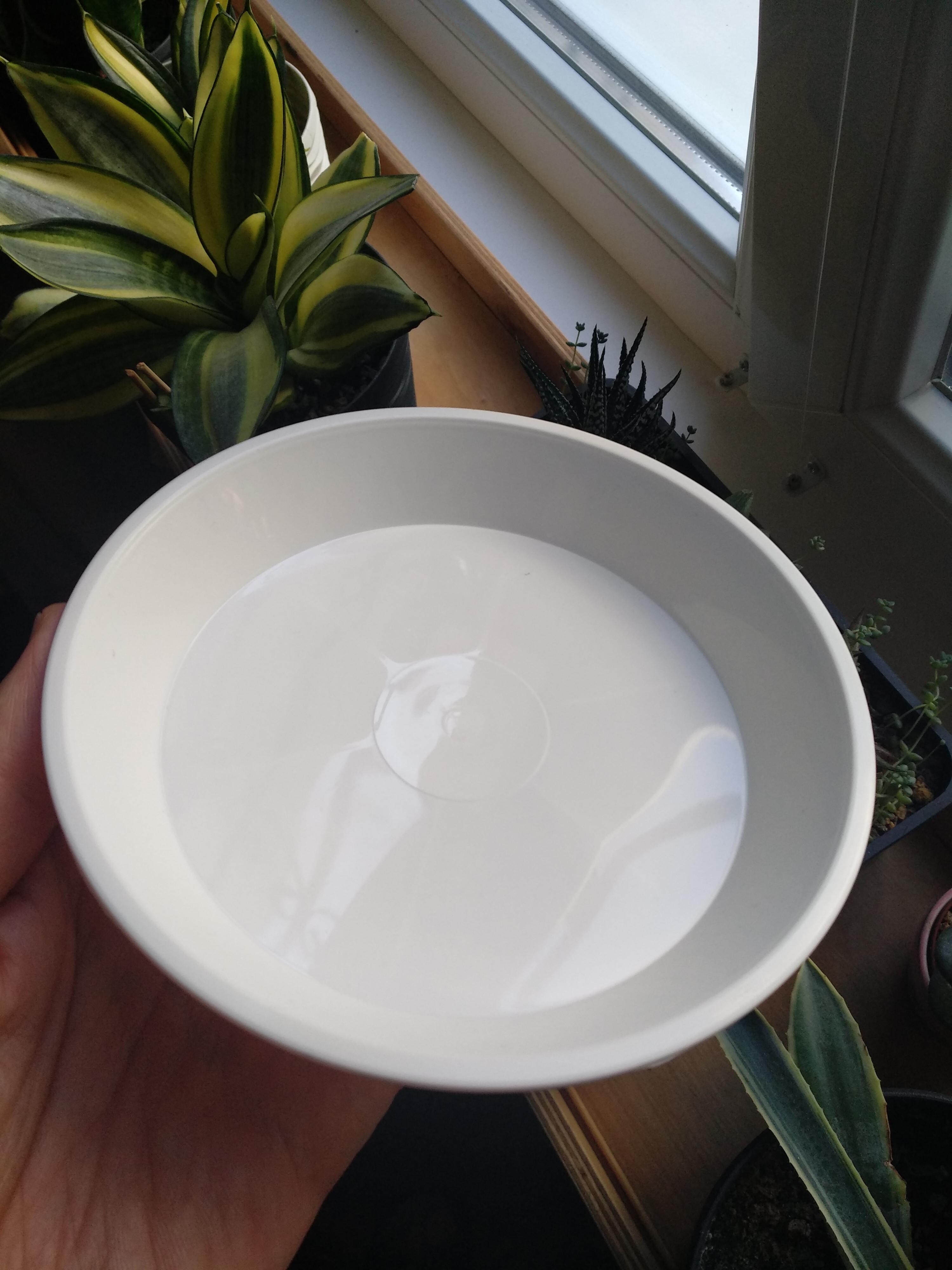 Піддон теракотовий пластик теракотовий 16 см (P16/1) Тарлев у реальних умовах використання від покупця Андрей.